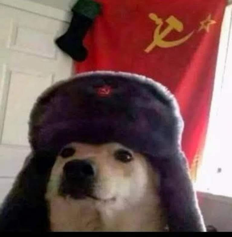 user avatar image for Steve Robinson