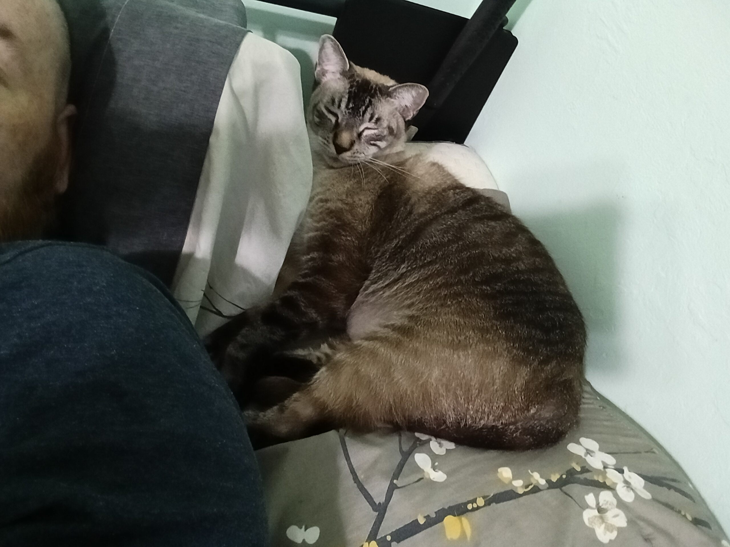 user avatar image for Ray Wodanson