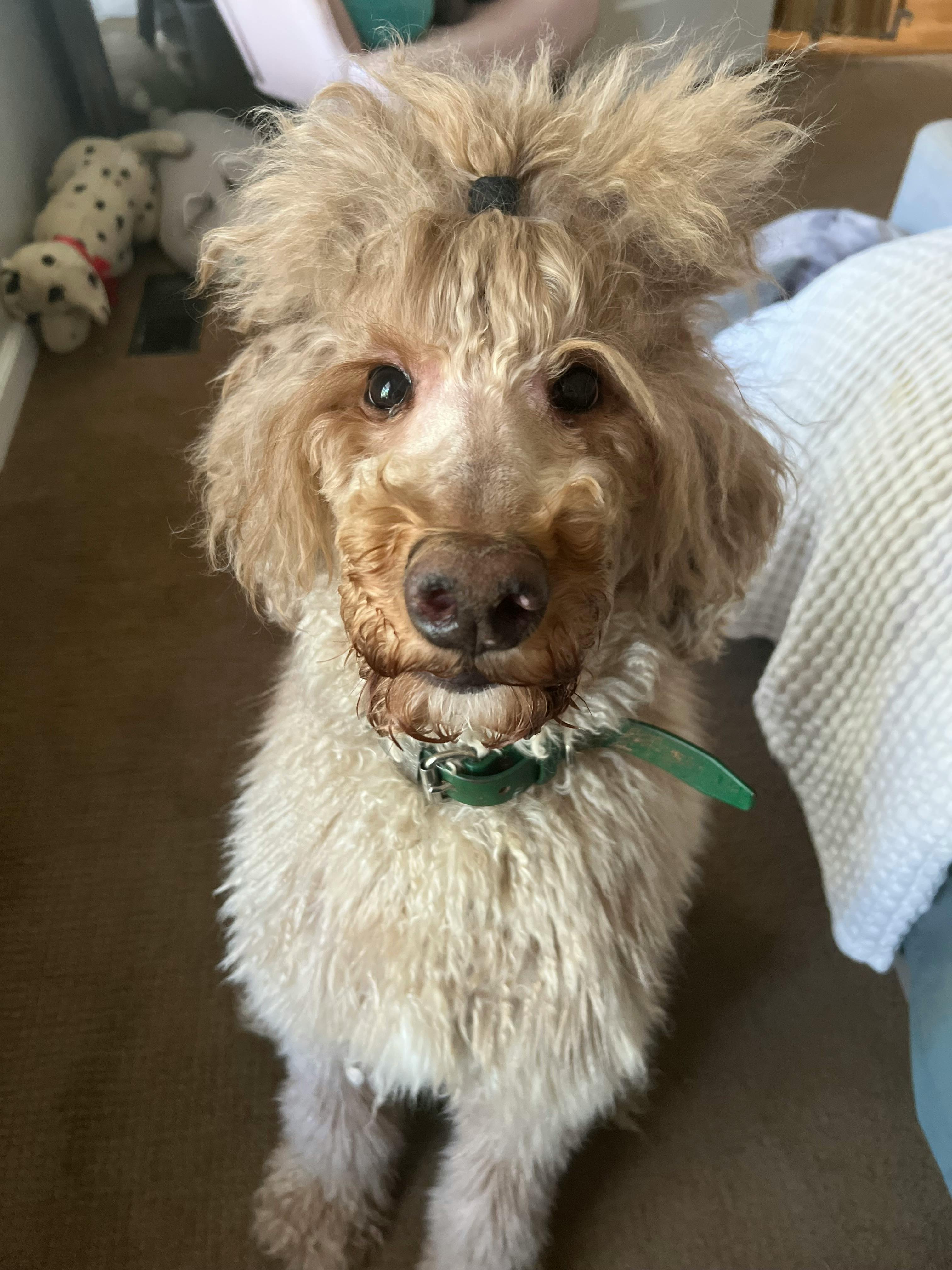 user avatar image for Aliuex