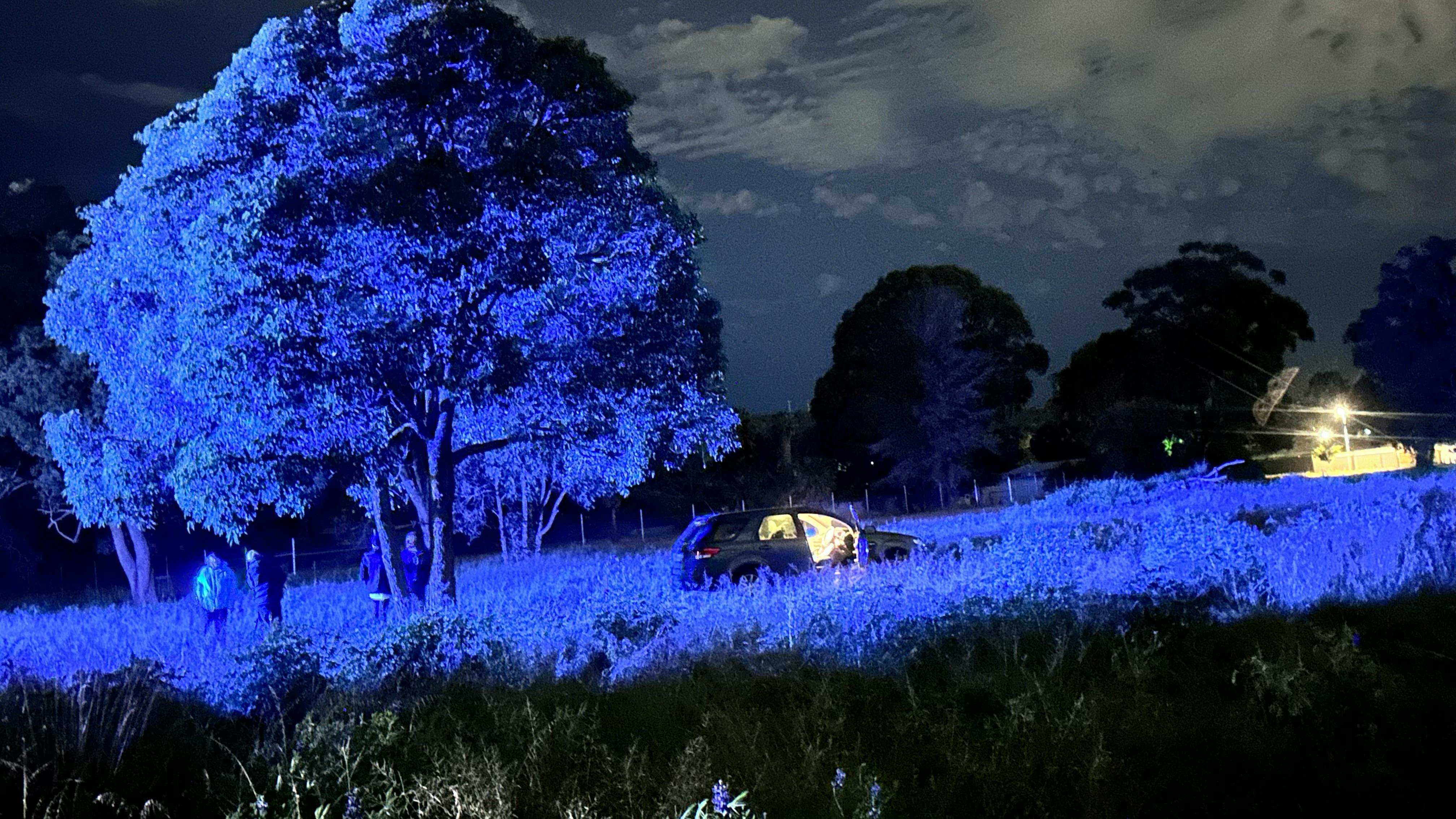 user avatar image for Ali. I