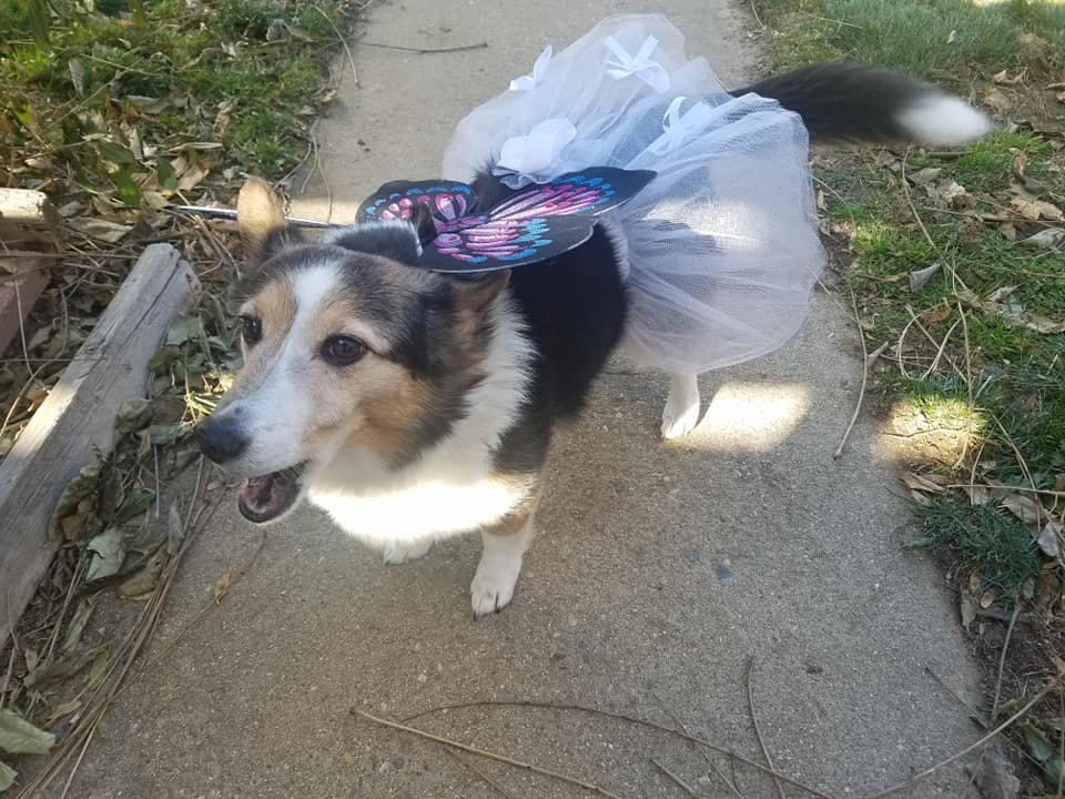 user avatar image for Laurasita