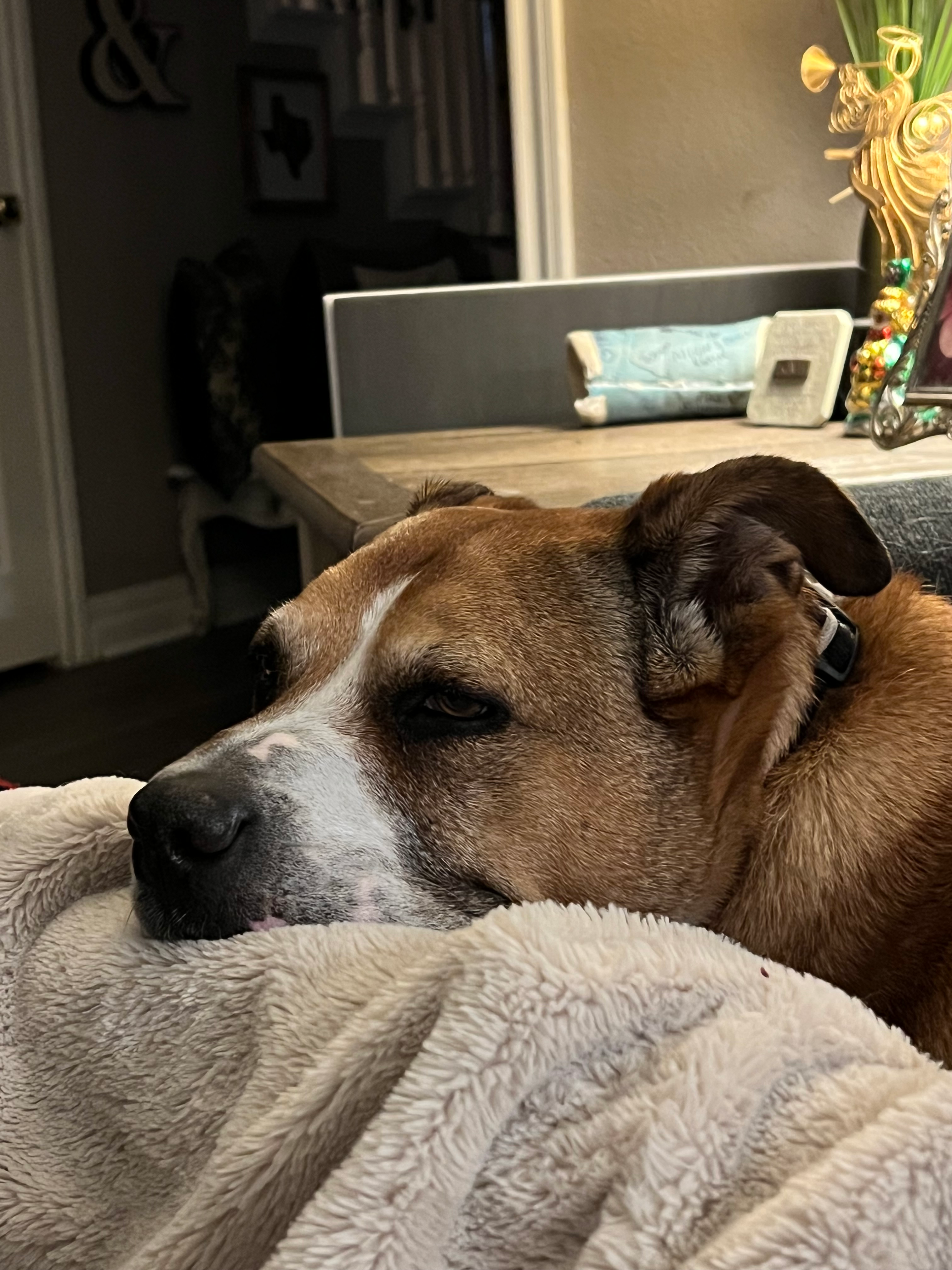 user avatar image for Kaither