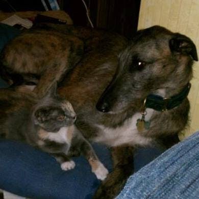 user avatar image for Heidi