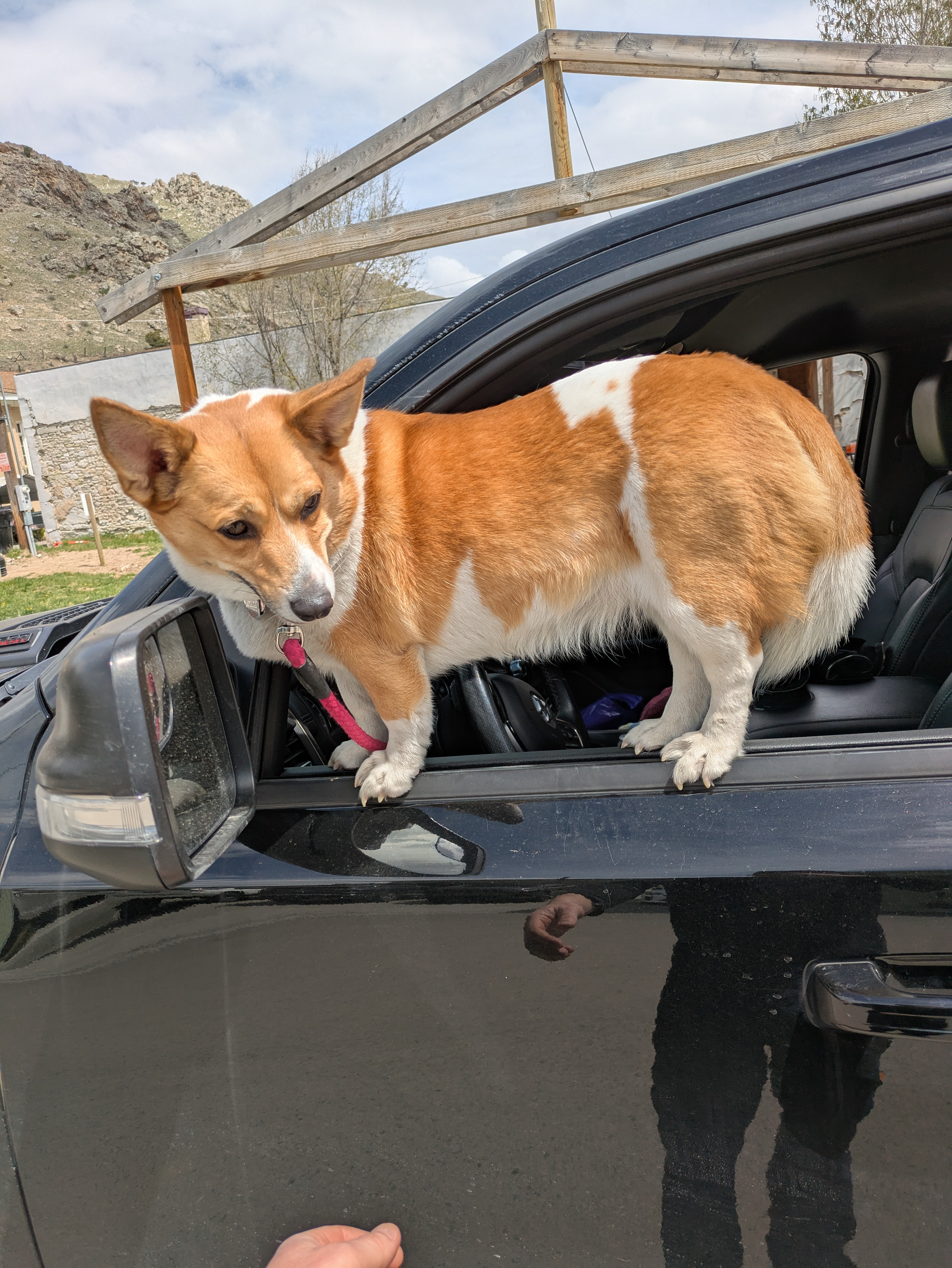 user avatar image for Rich H 