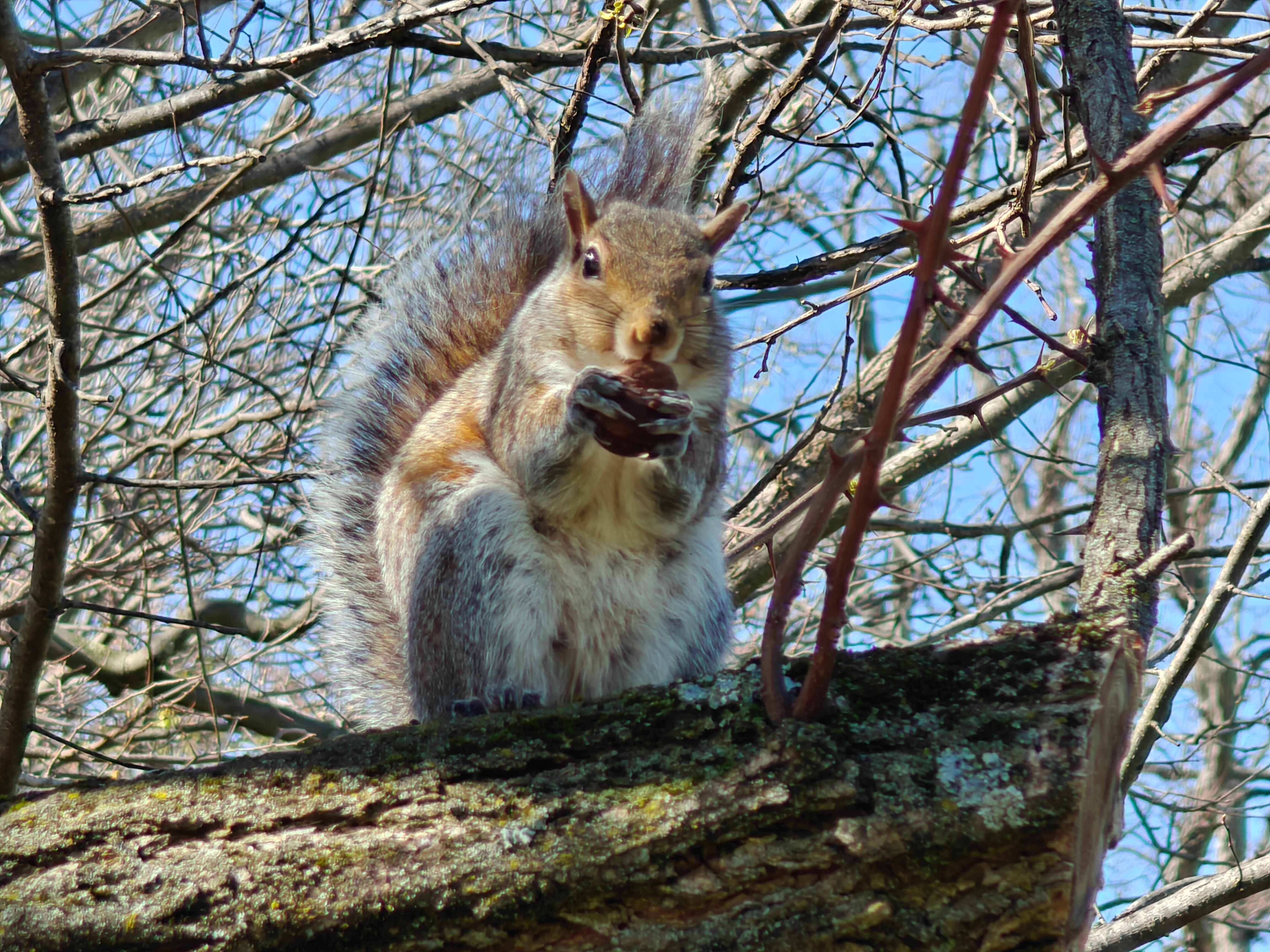 user avatar image for Daniel james