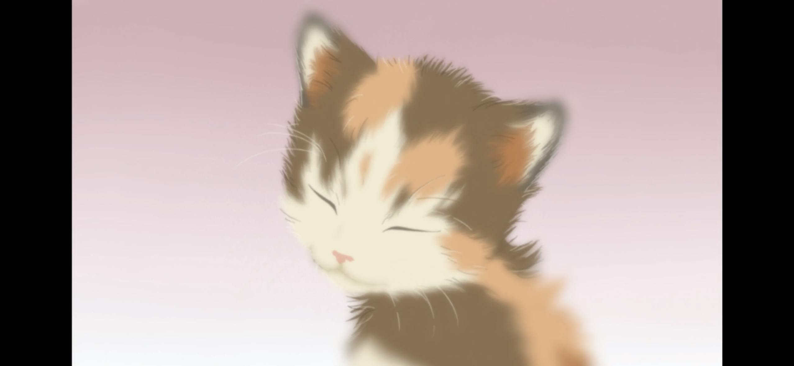 user avatar image for Francisco Rodriguez 