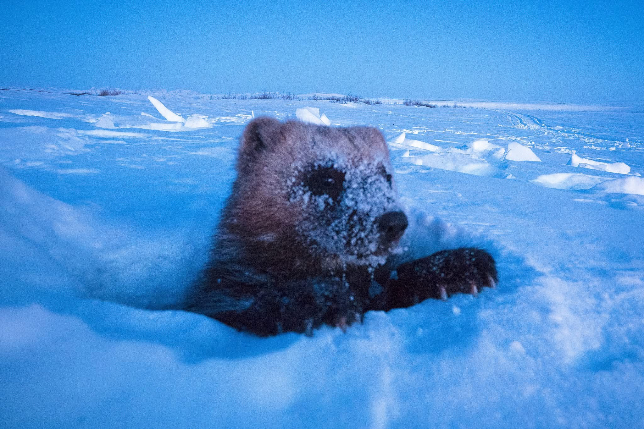 user avatar image for Zakk B