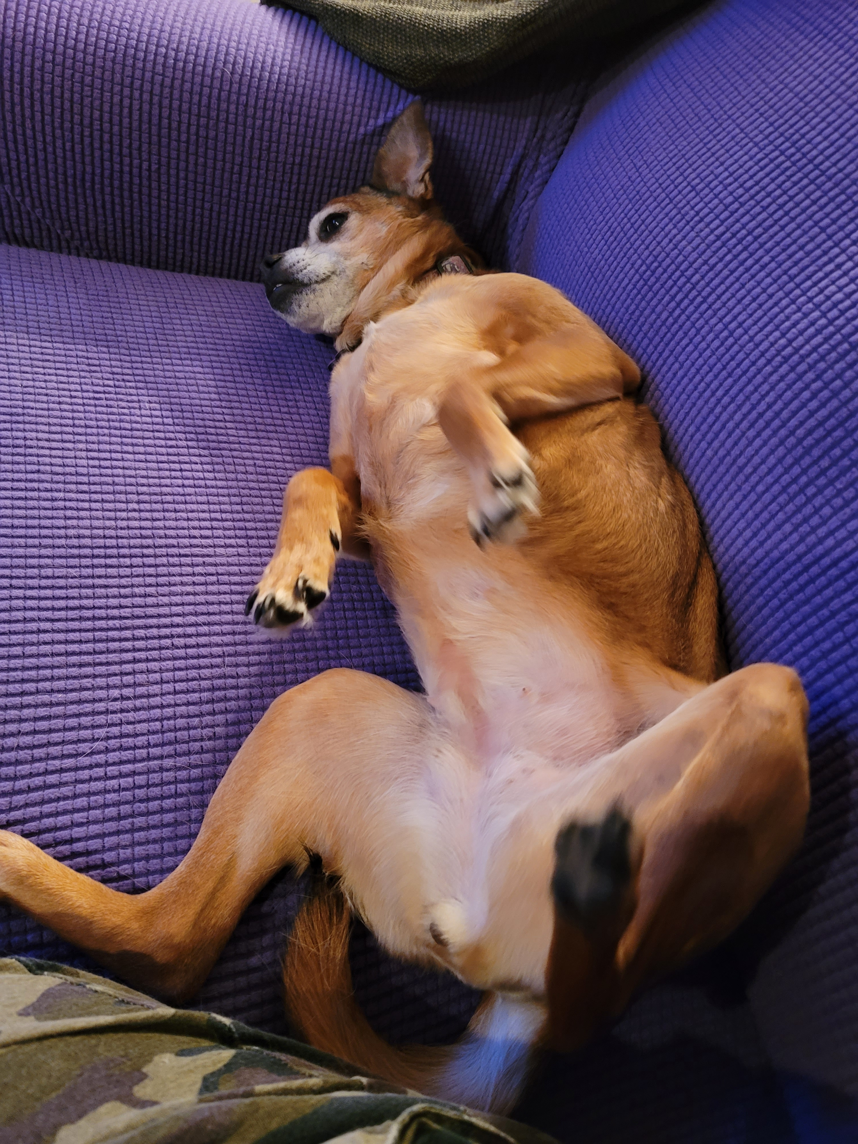 user avatar image for Lepprechaun 