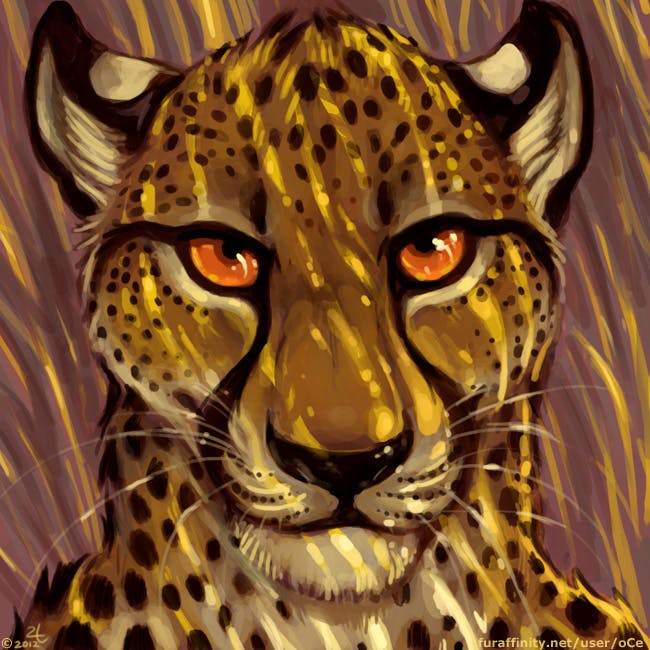 user avatar image for Jasiri
