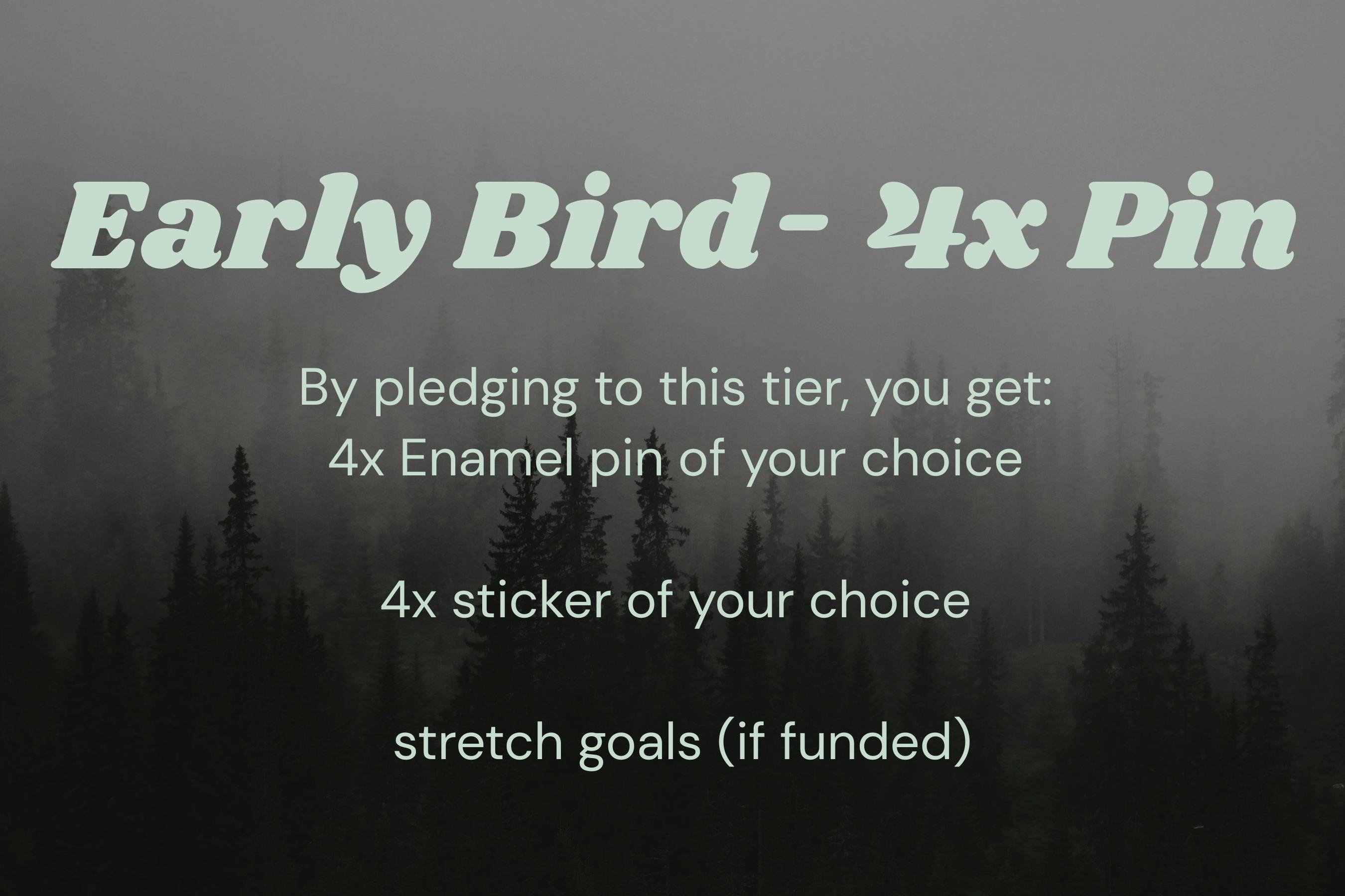EARLY BIRD: 4 Enamel Pins
