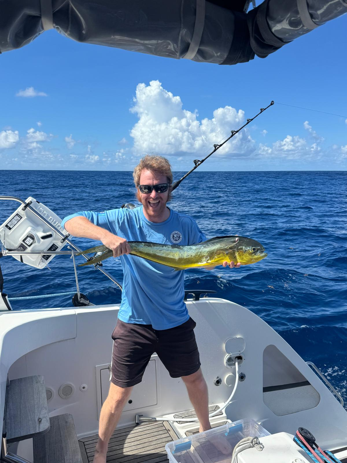 user avatar image for Will Hutcheson