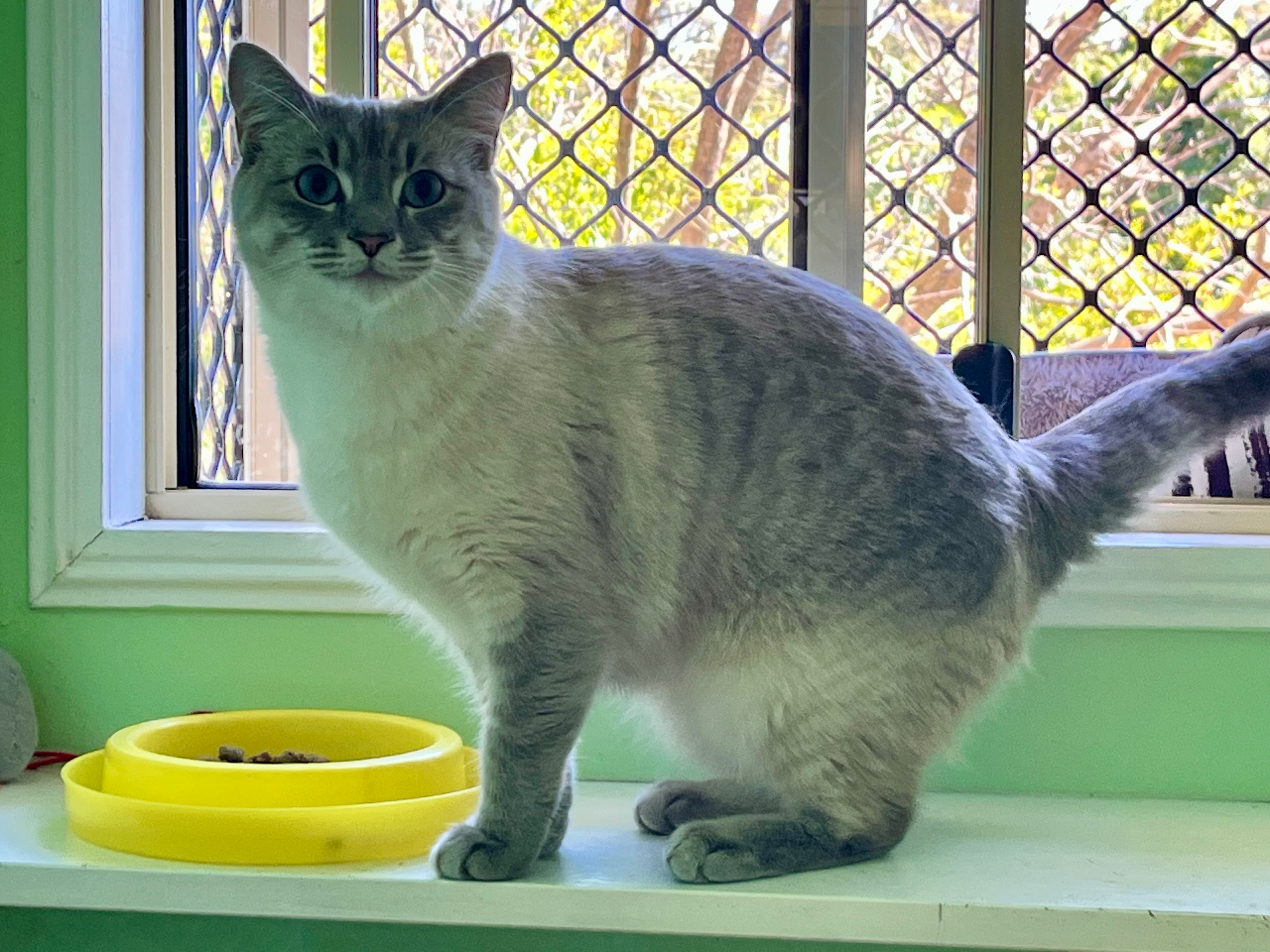 user avatar image for Felicity Tubner