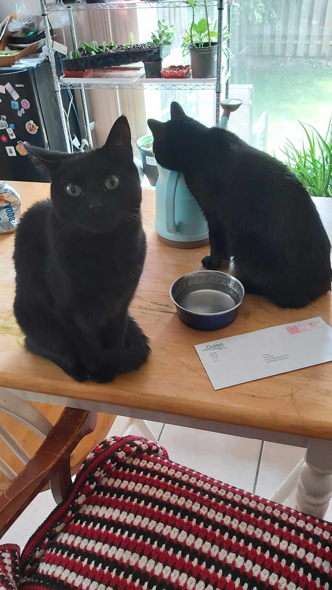 user avatar image for Lidean Mills