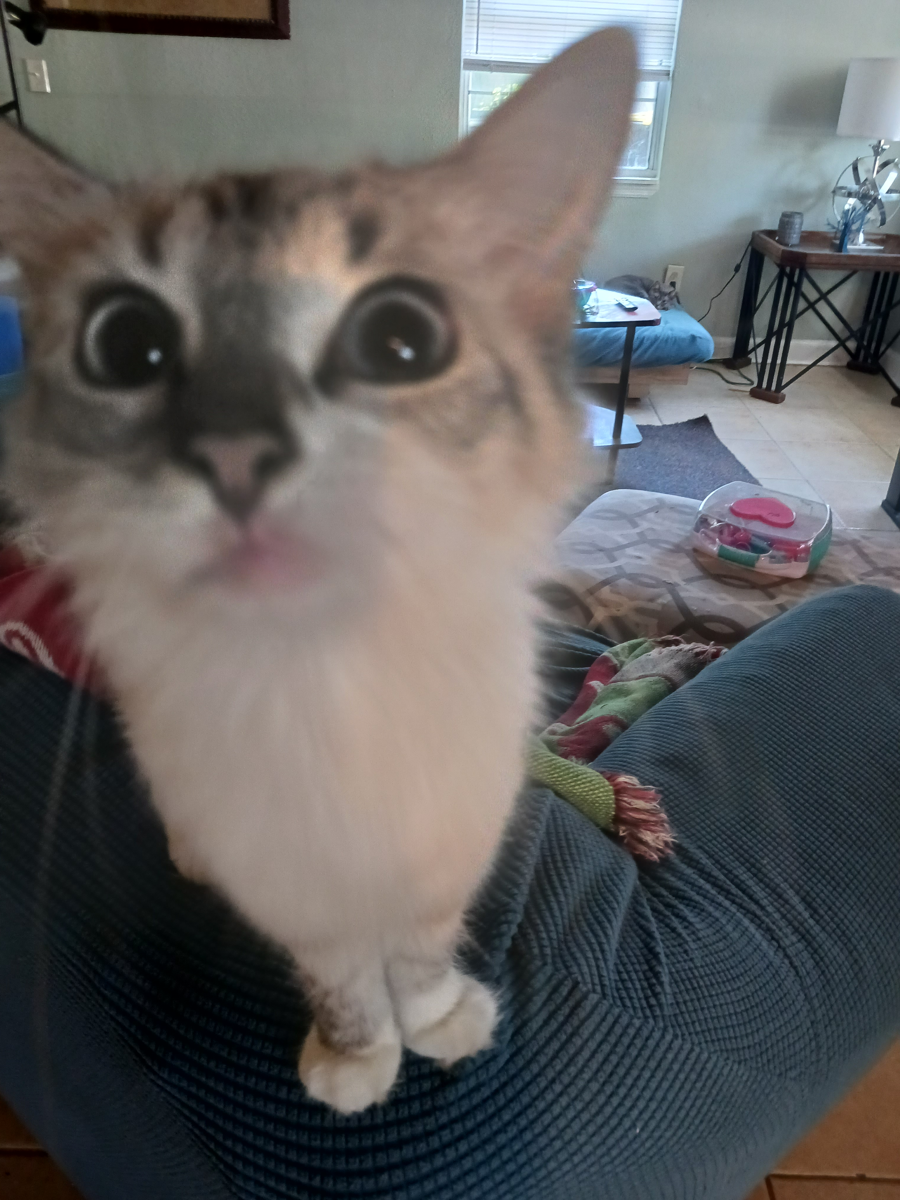 user avatar image for Phoenixrising137