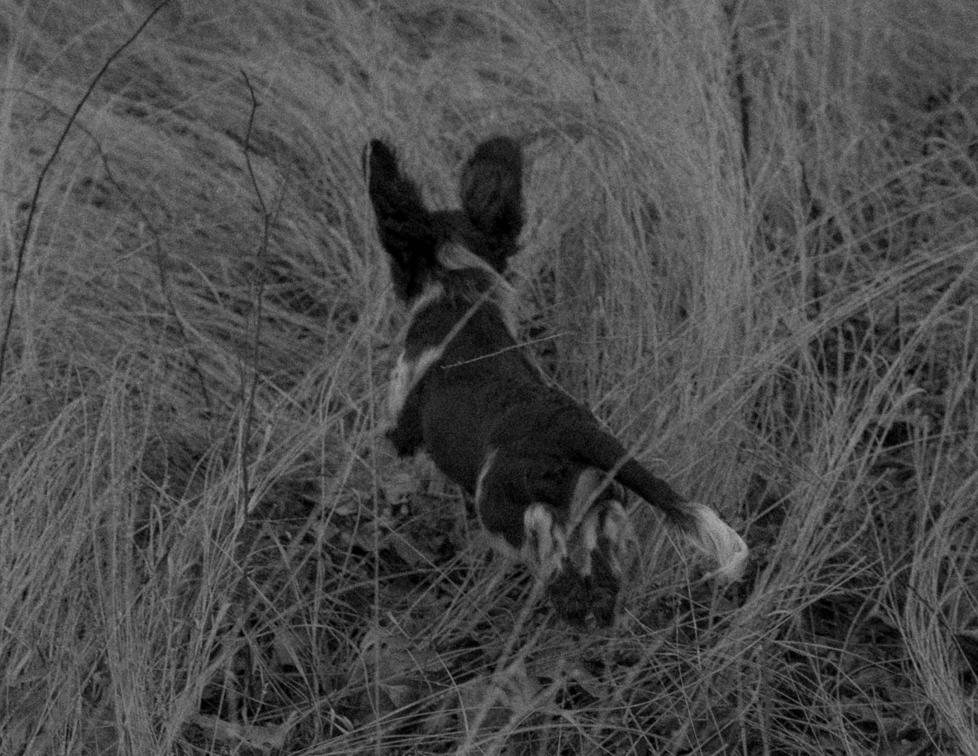 user avatar image for AWSII