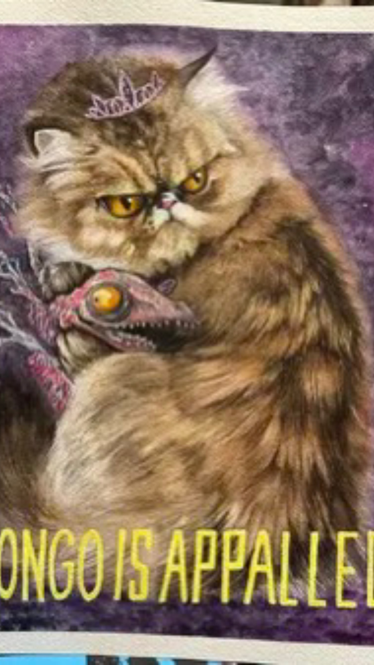 user avatar image for Holly Sessions