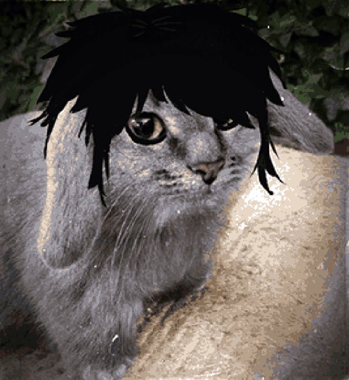 user avatar image for Cesily