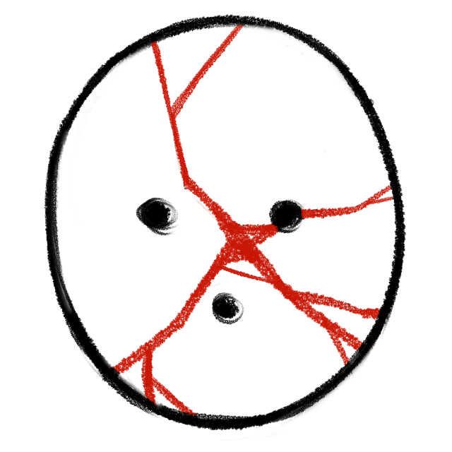 user avatar image for Elbicarnaval