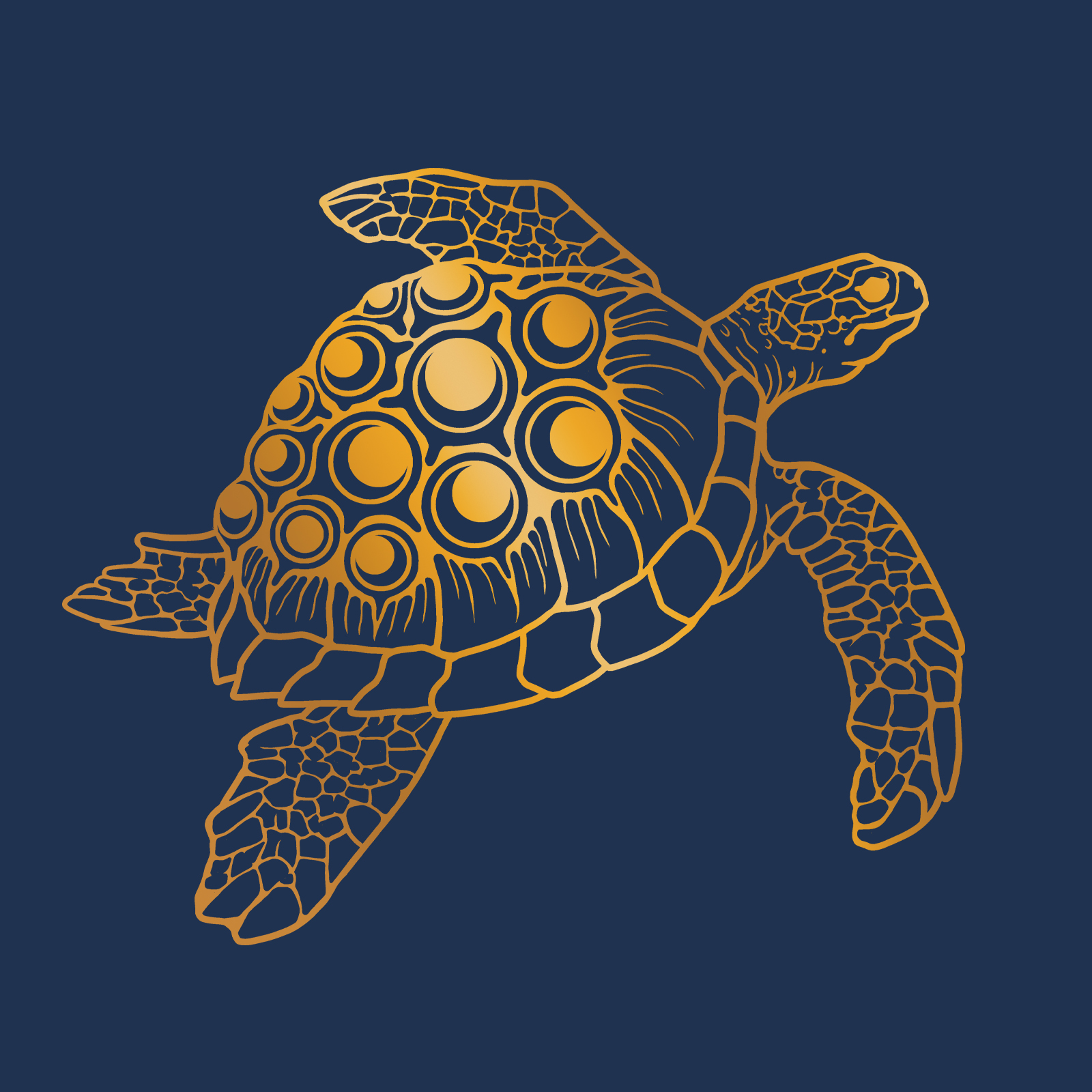 Turtle