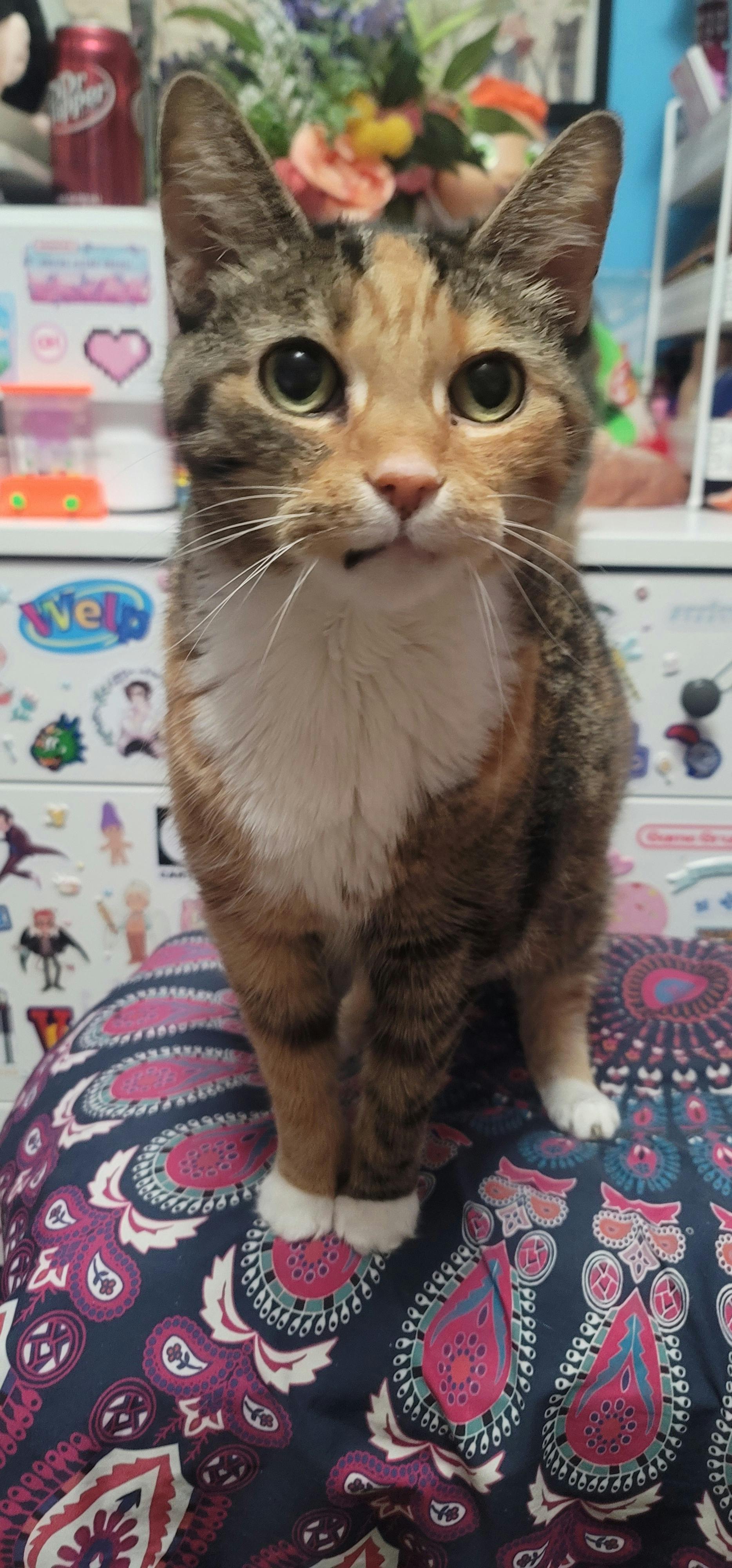 user avatar image for Miriya