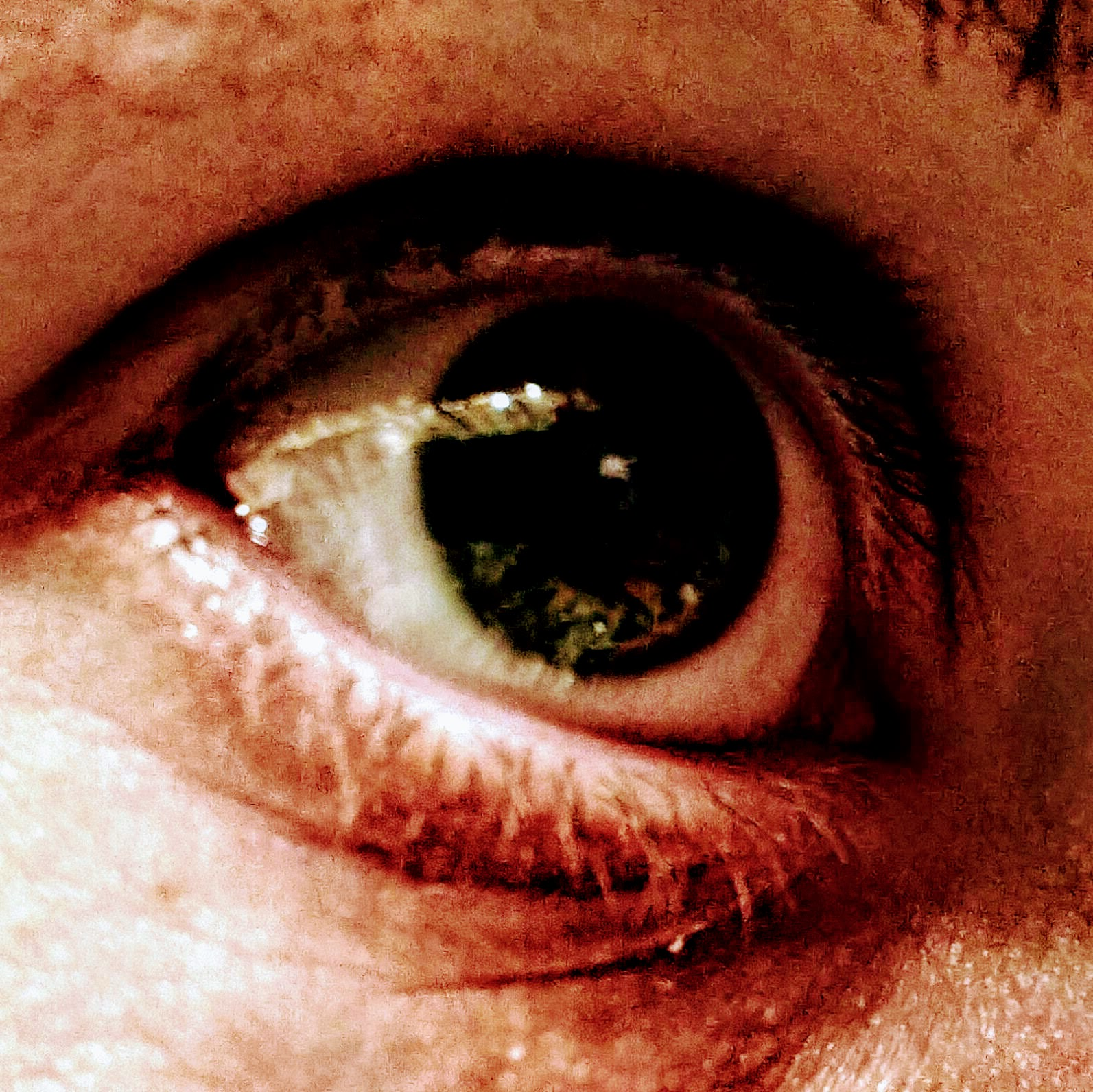 user avatar image for Magic Vector Plan