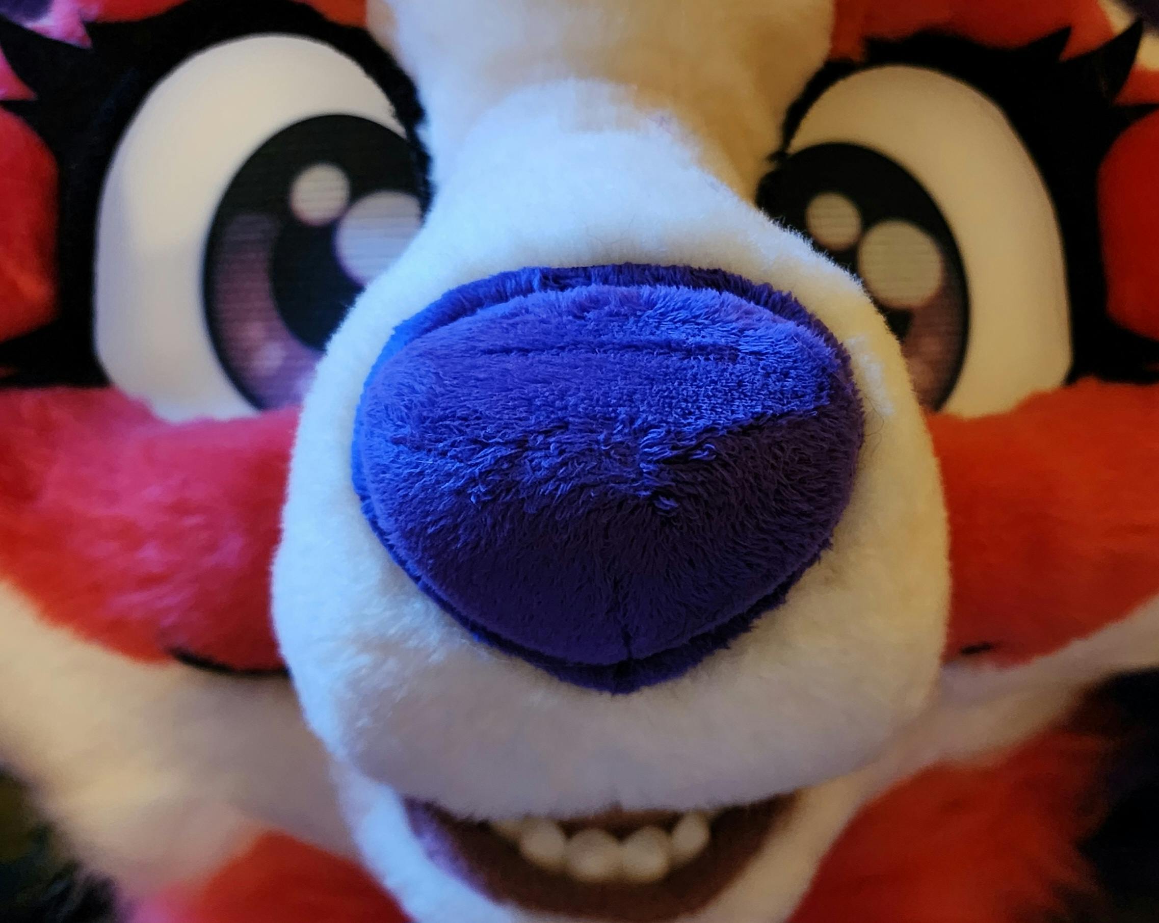 user avatar image for HallP