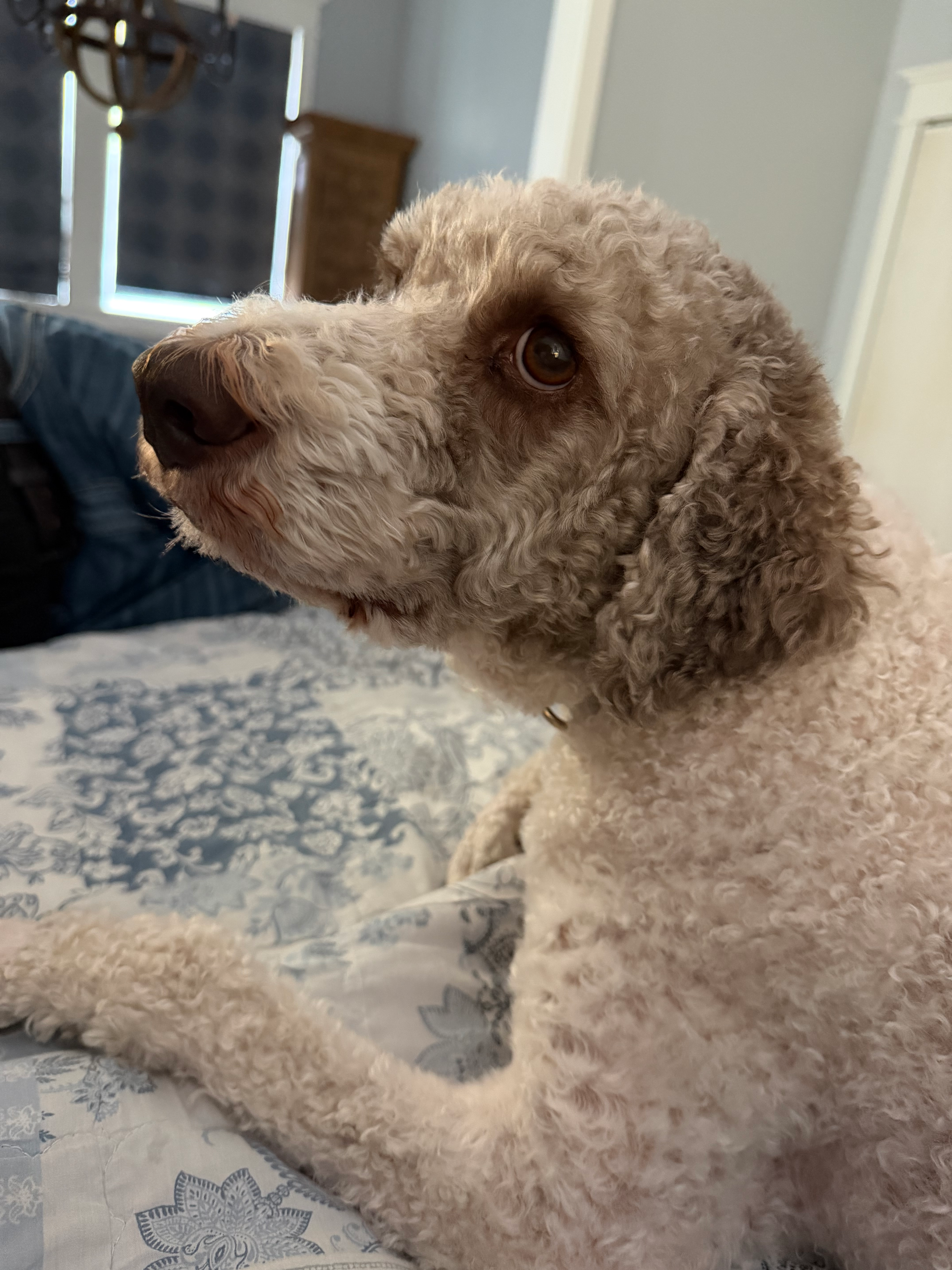 user avatar image for Carrie Stone