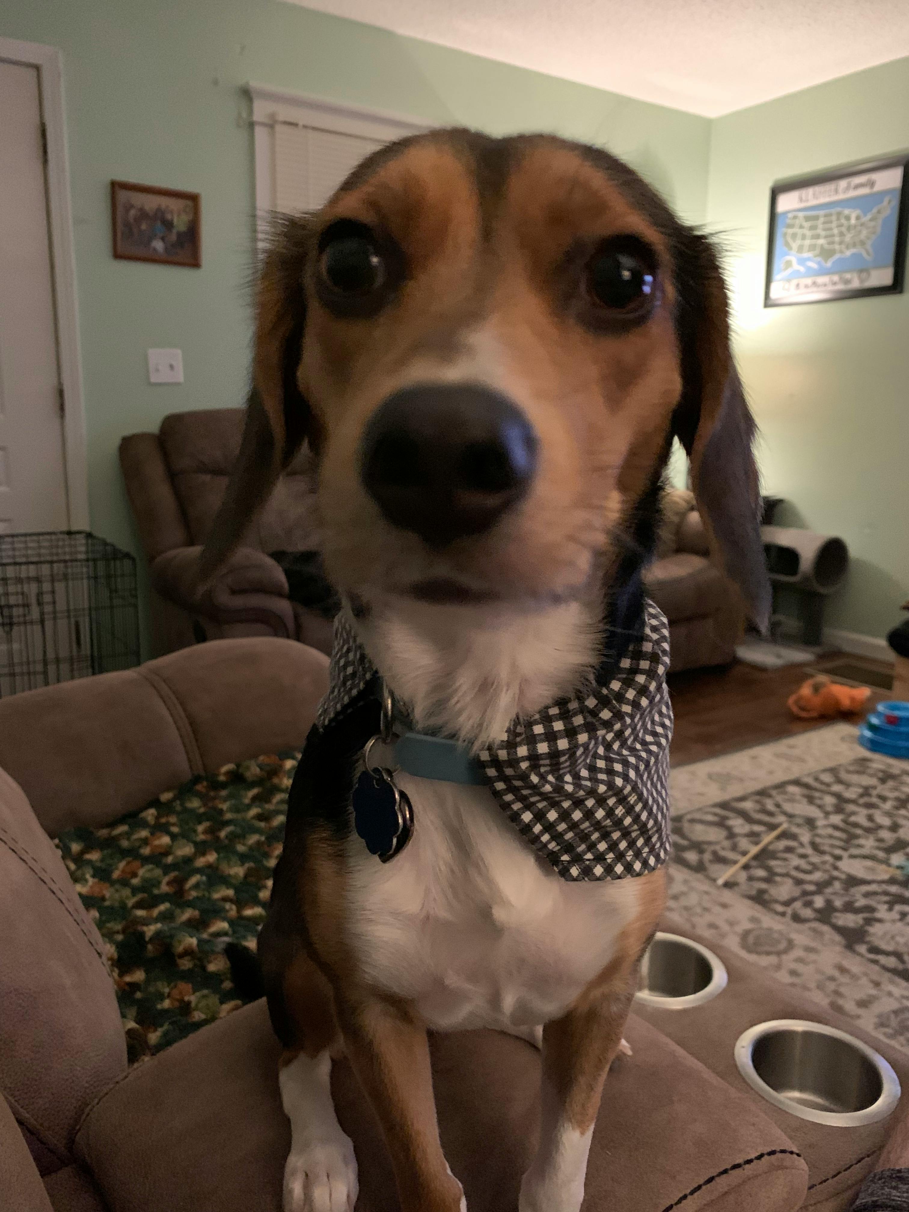 user avatar image for Ethan Klaffer