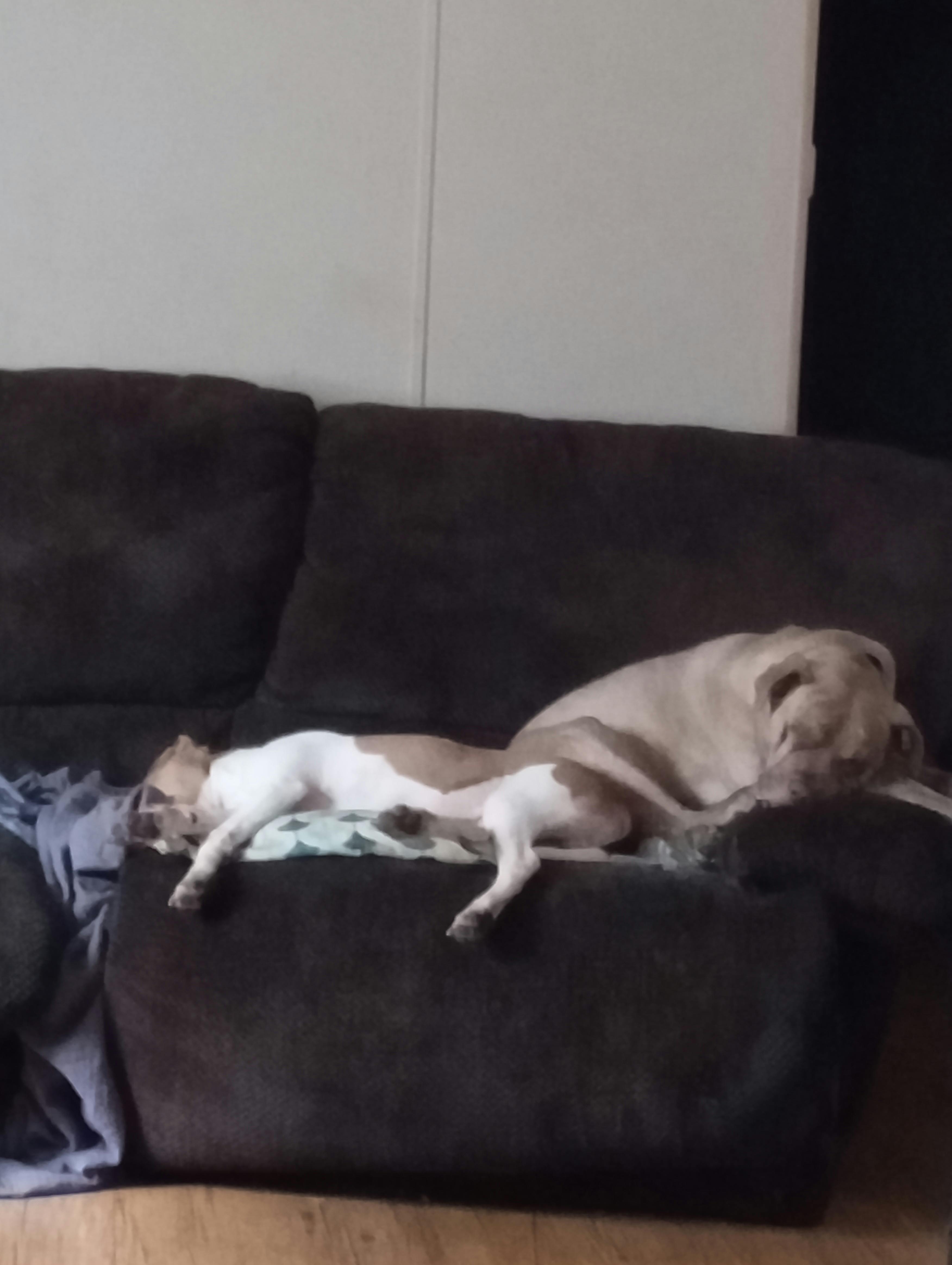 user avatar image for Esoteric-Badger