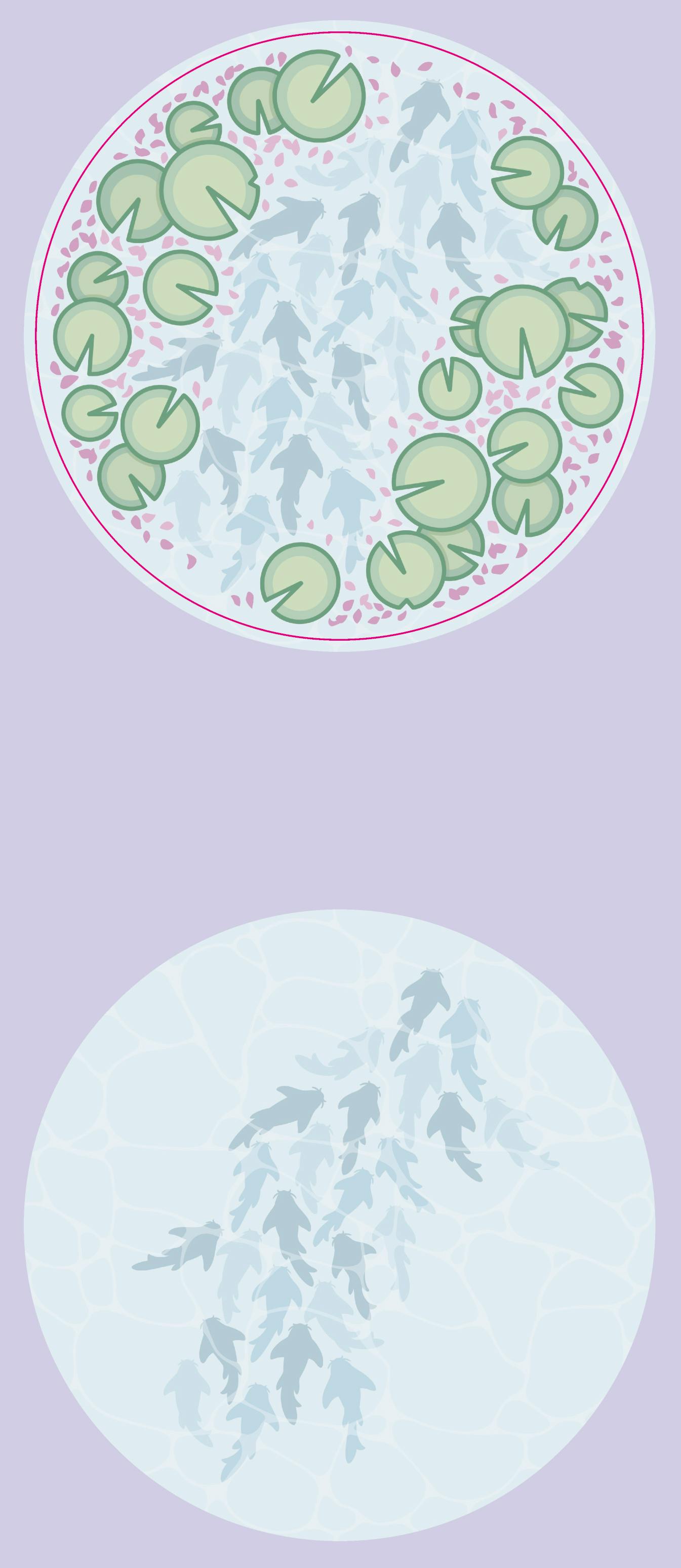  Holo Sticker Koi Pond 