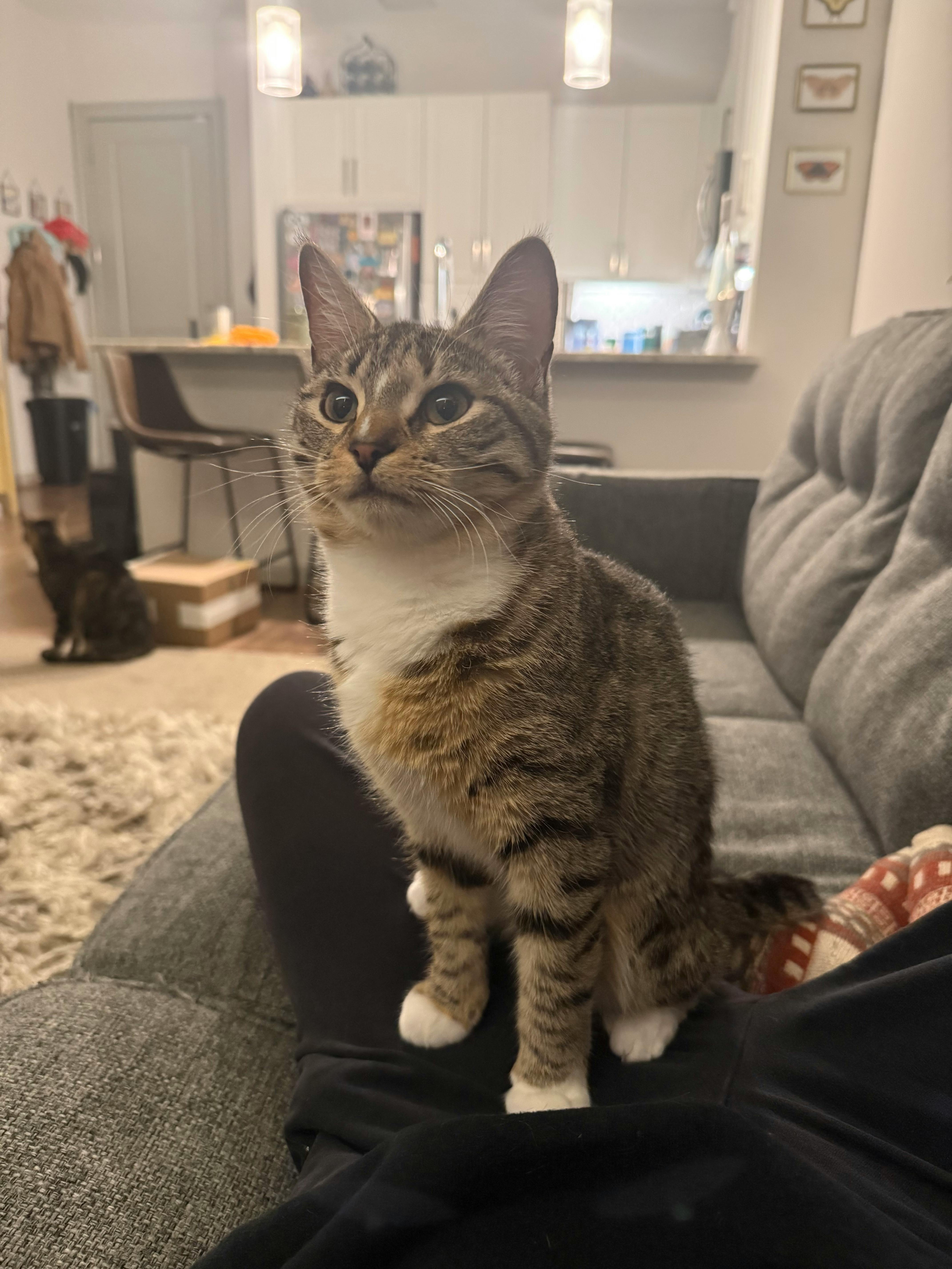 user avatar image for Quinn Byers