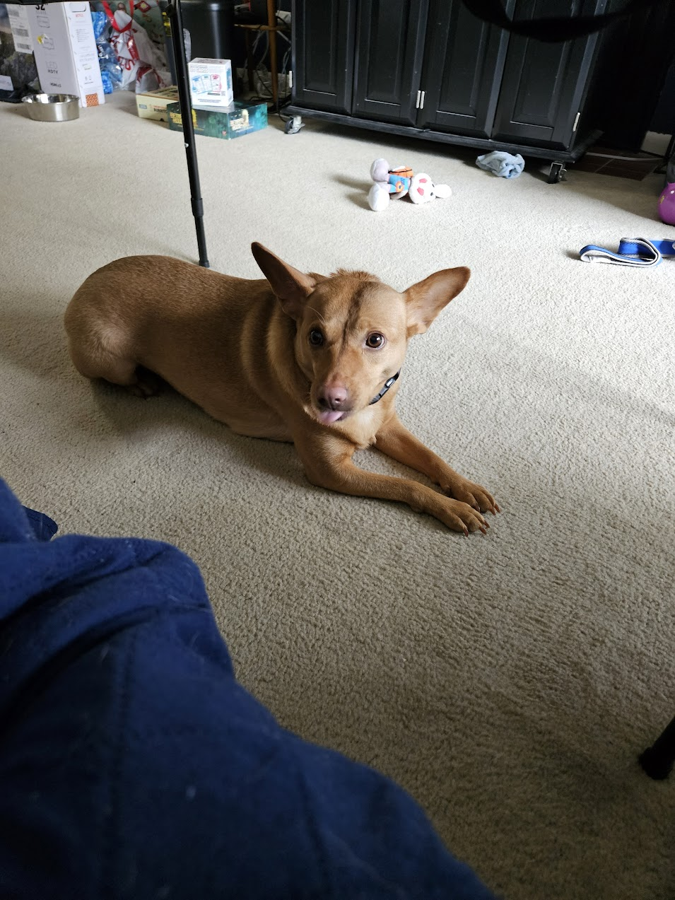 user avatar image for Rick