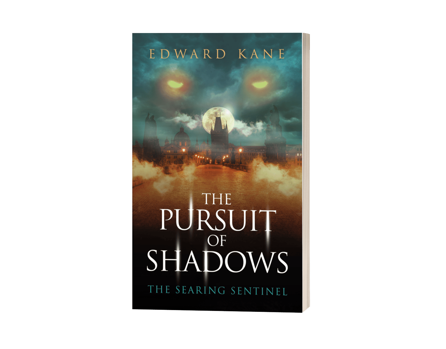 Paperback Shadow