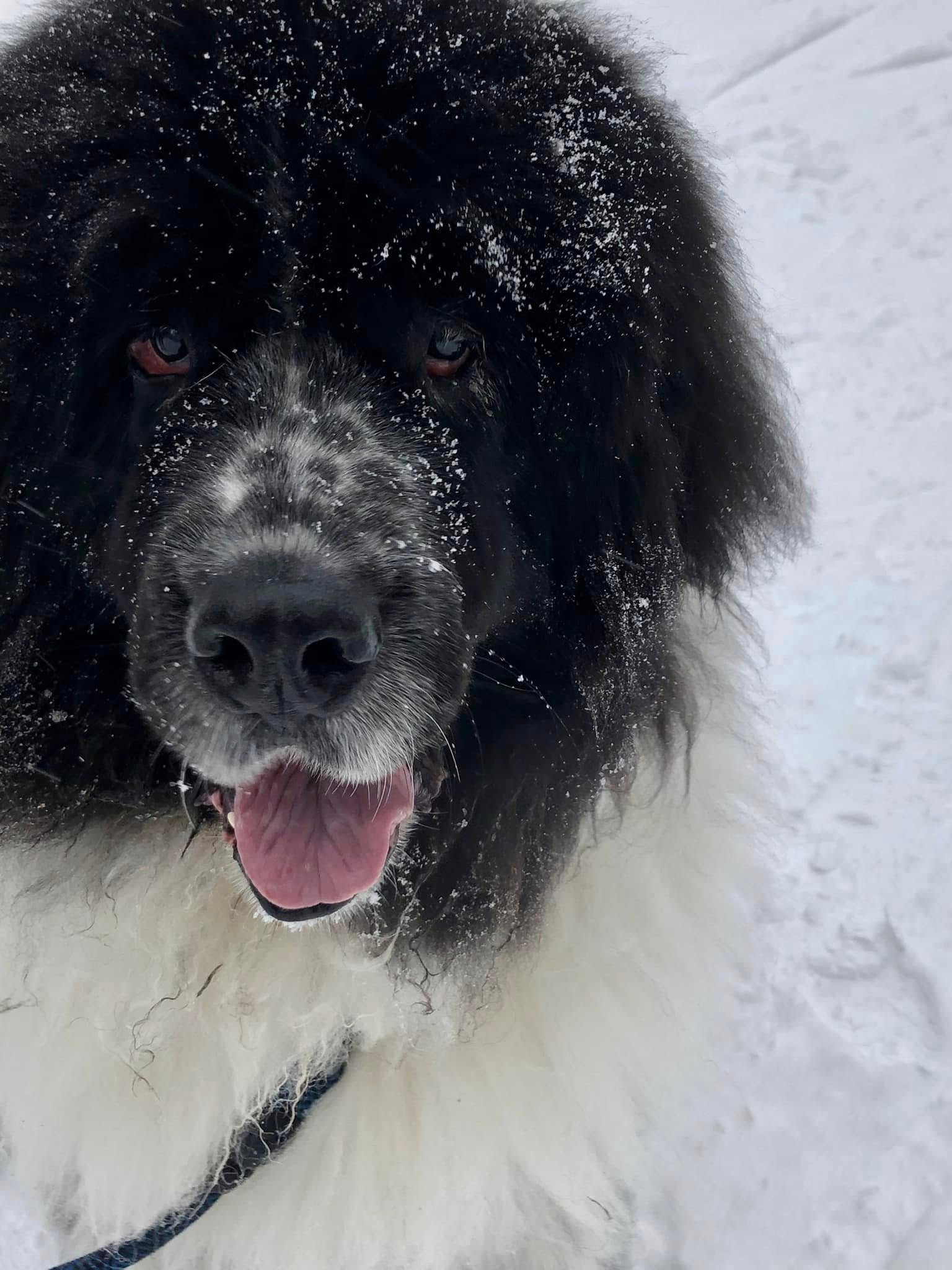 user avatar image for Ruth T