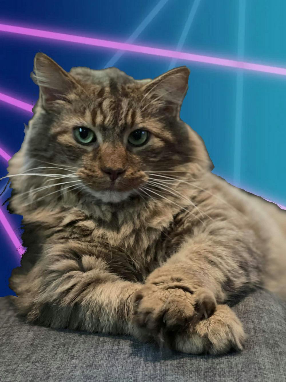 user avatar image for Kthondragon