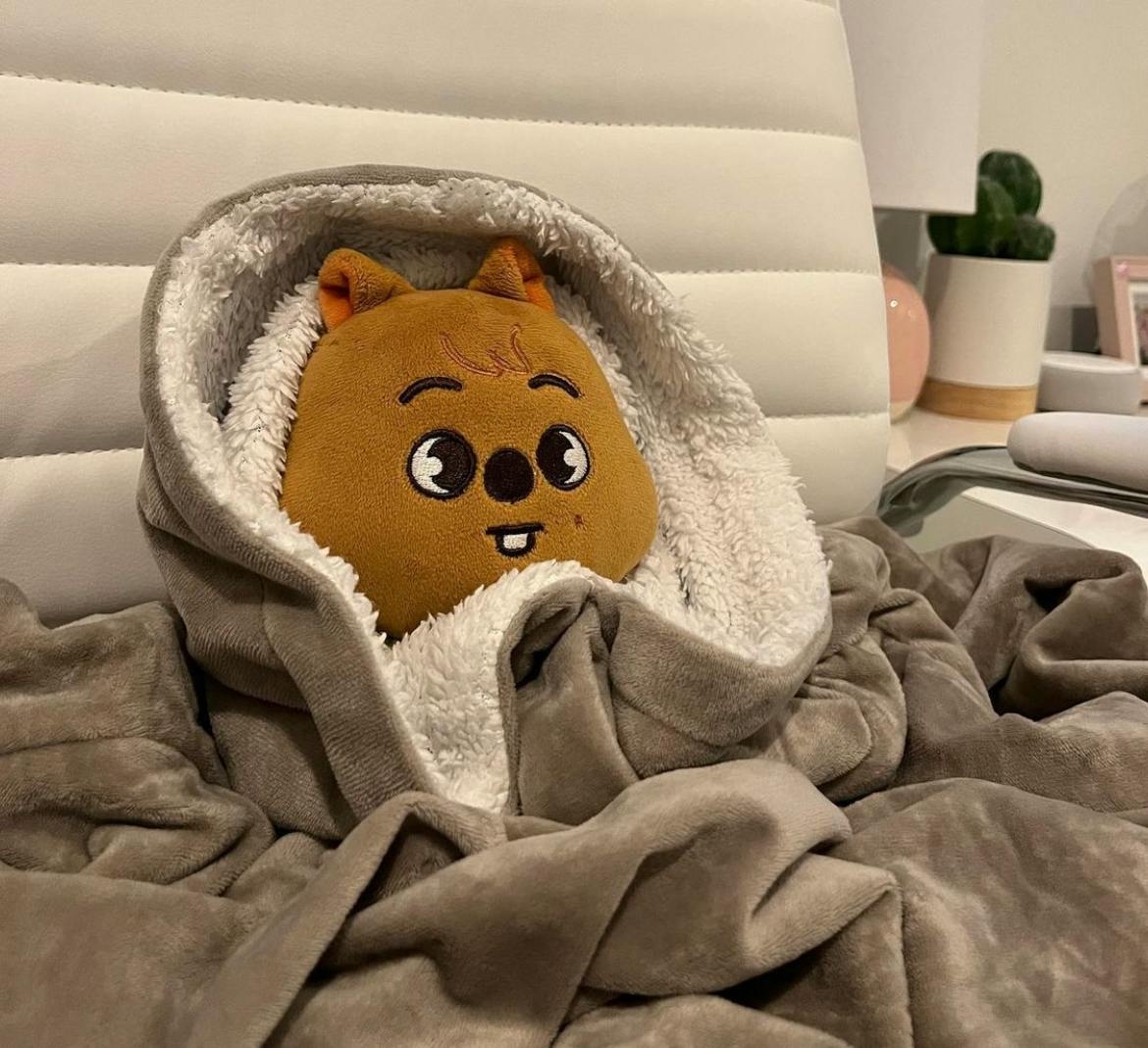 user avatar image for Maggie