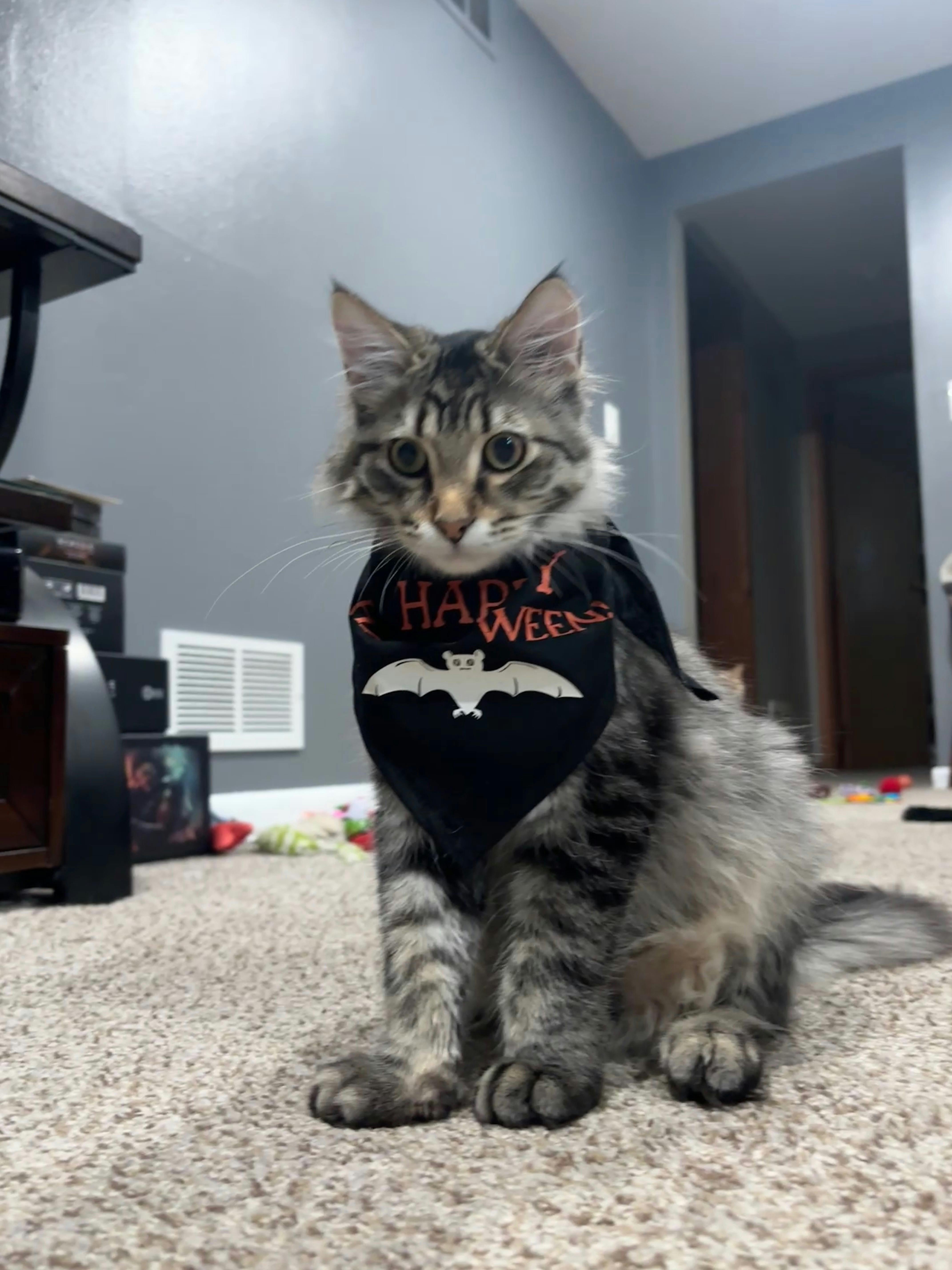 user avatar image for John Ager