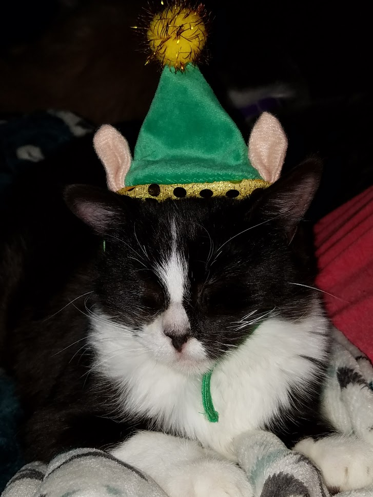 user avatar image for JOHN MORENO