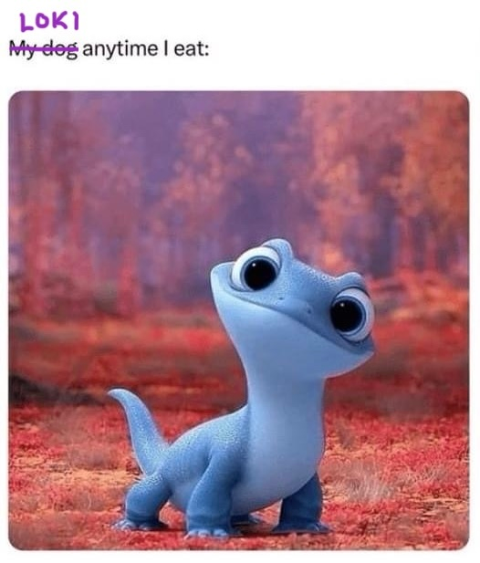 user avatar image for Liz Hoyt