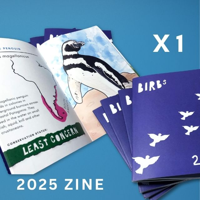 2025 Birbs Zine