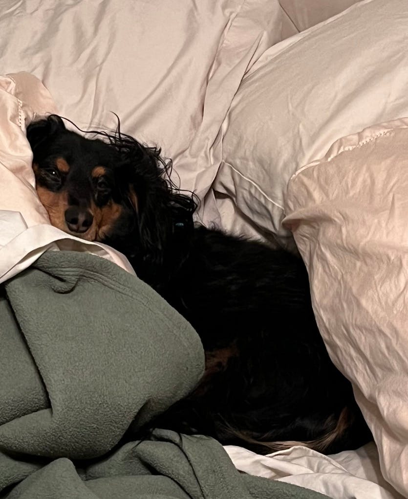 user avatar image for Honey