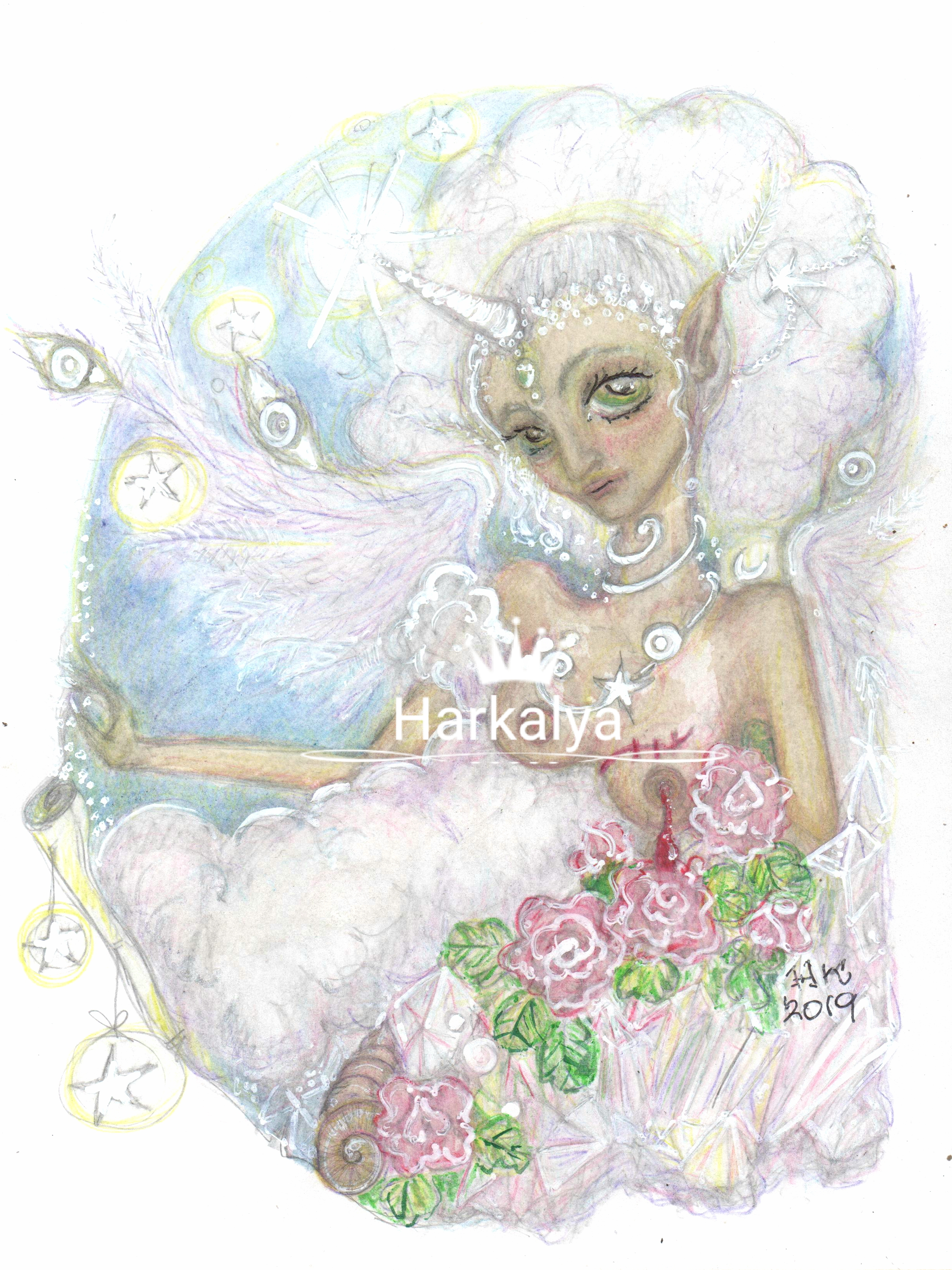 user avatar image for Koral Harkalya 