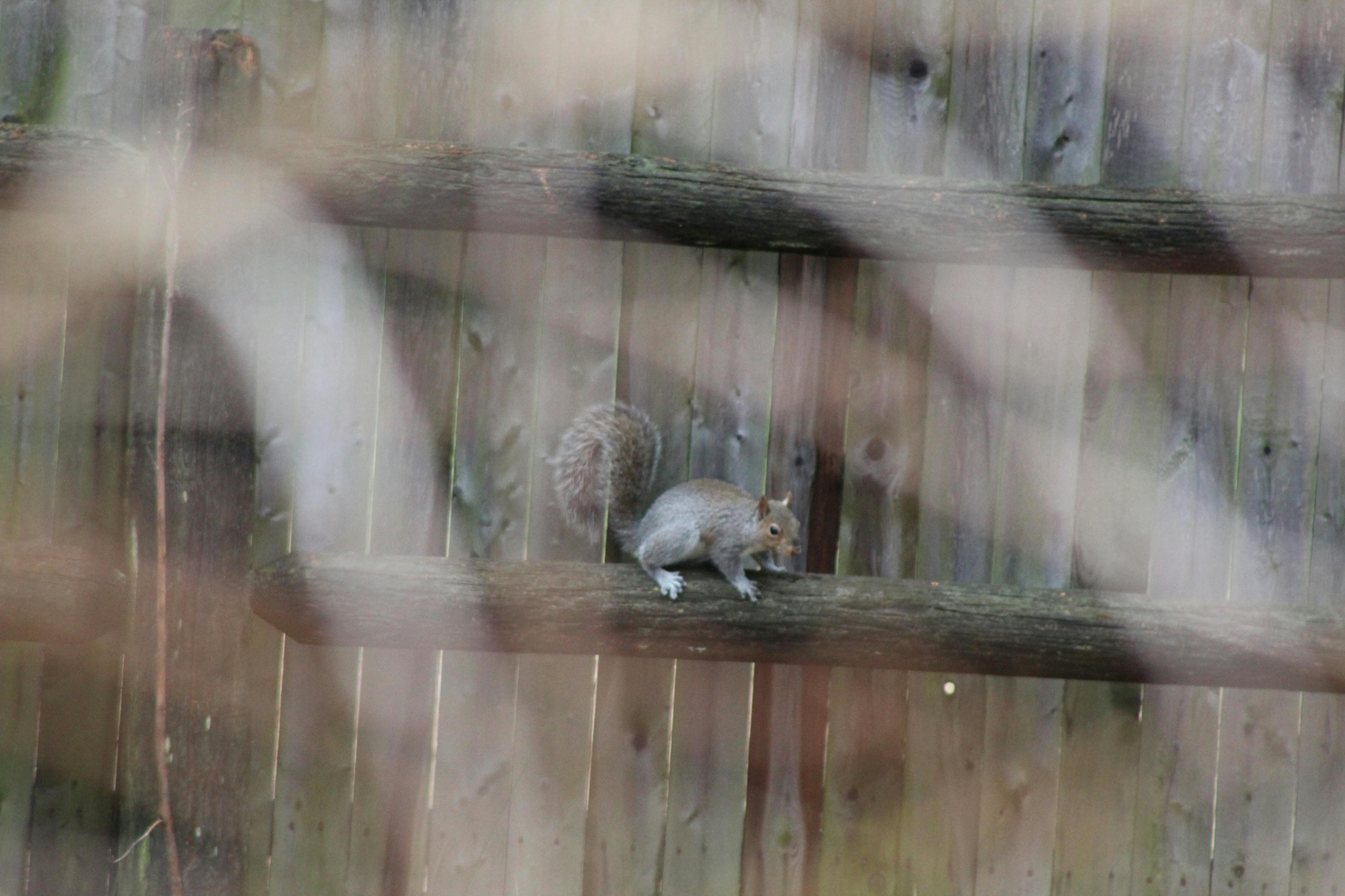 user avatar image for payt