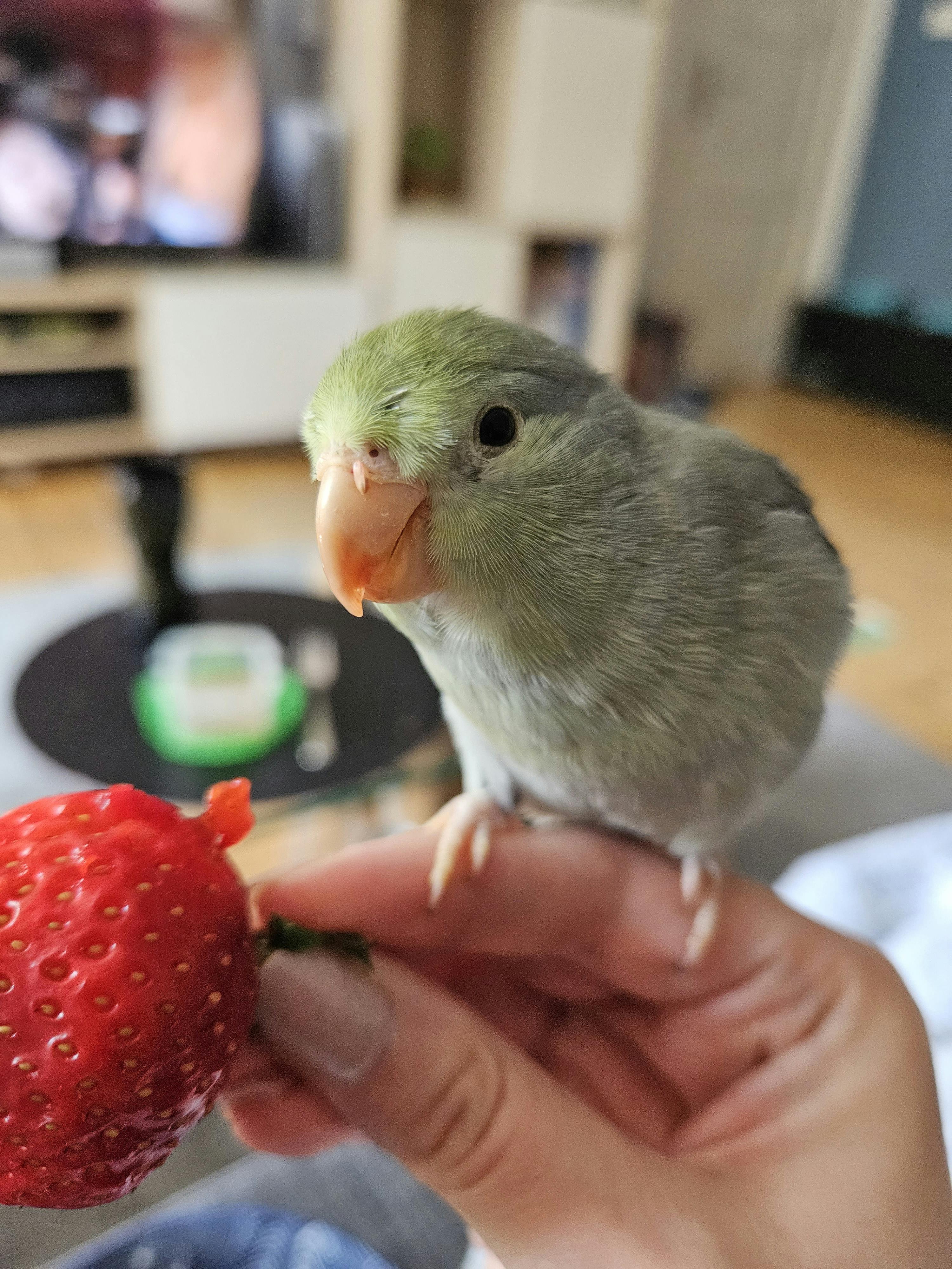 user avatar image for Steffi Purgatory