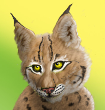 user avatar image for Emerald