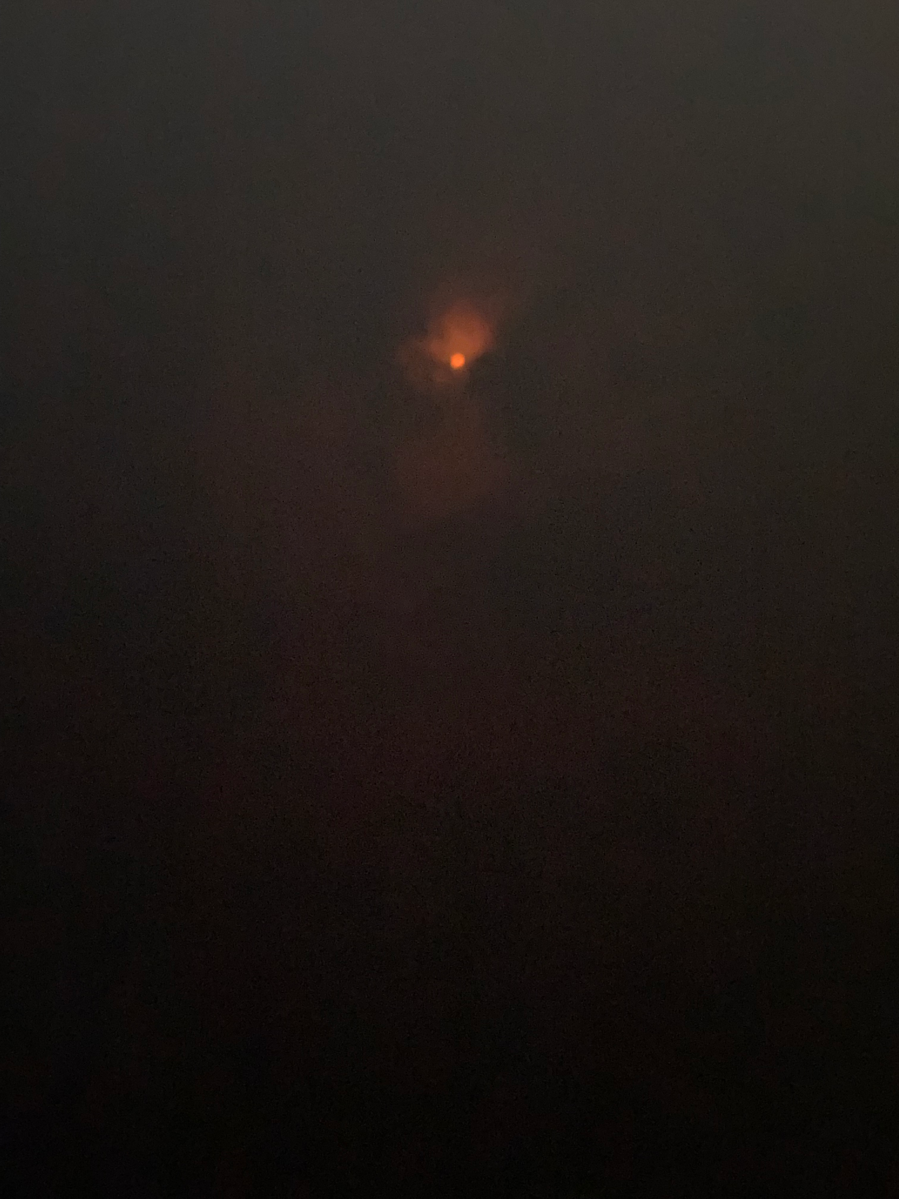 user avatar image for Moss