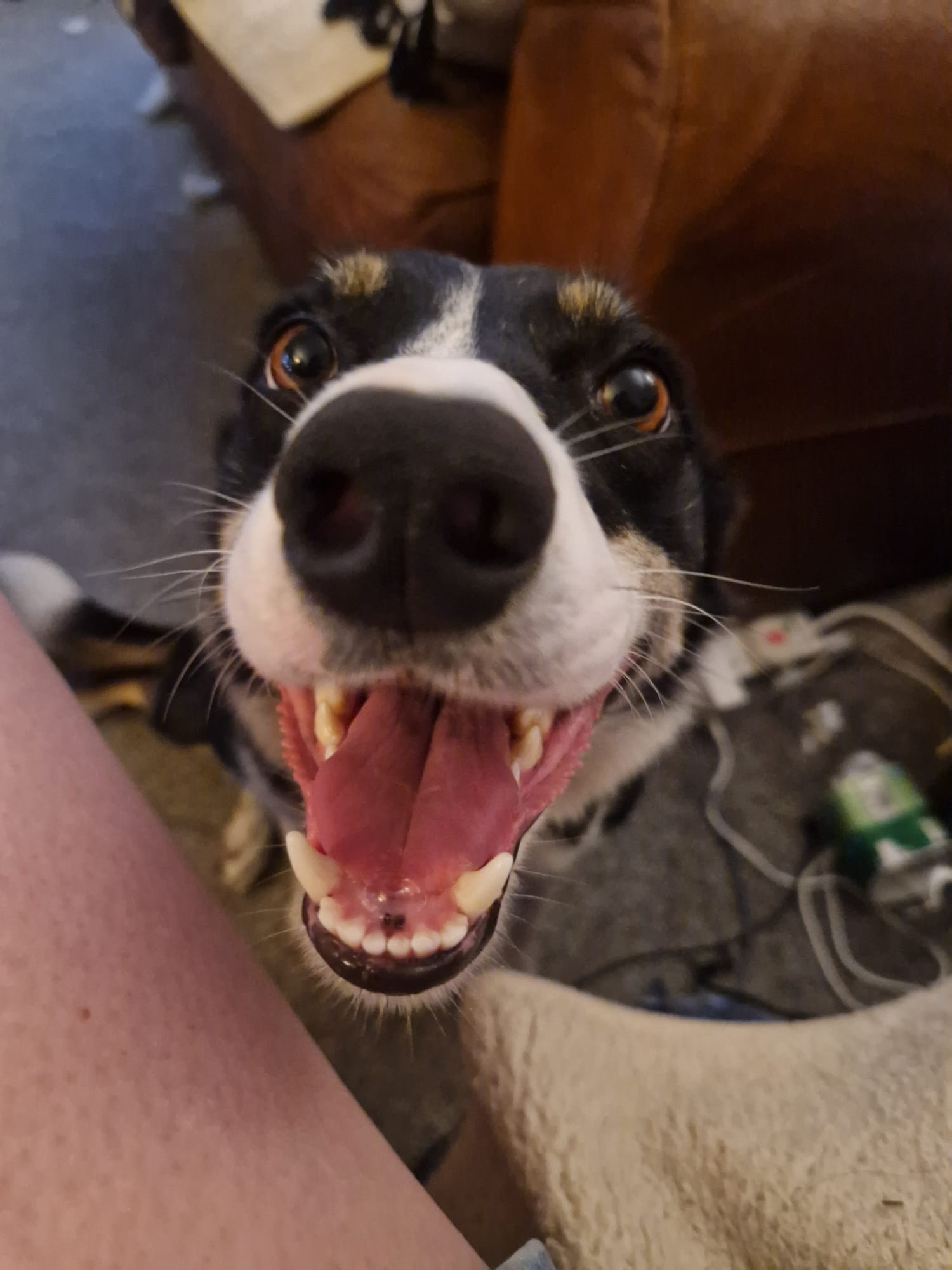 user avatar image for Craig B