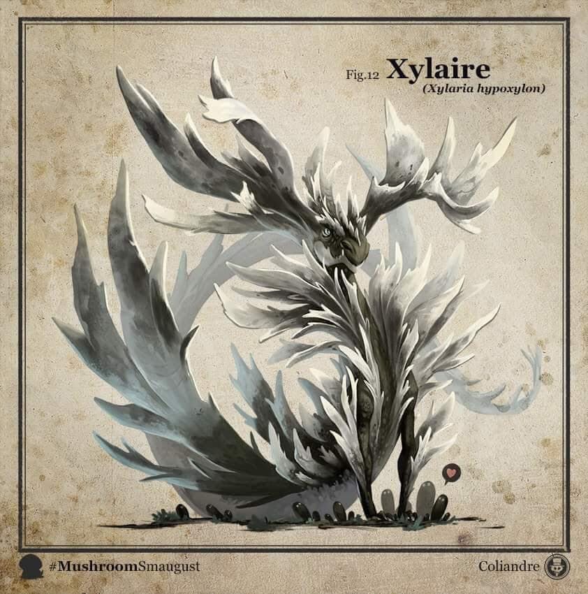 user avatar image for Jamie R