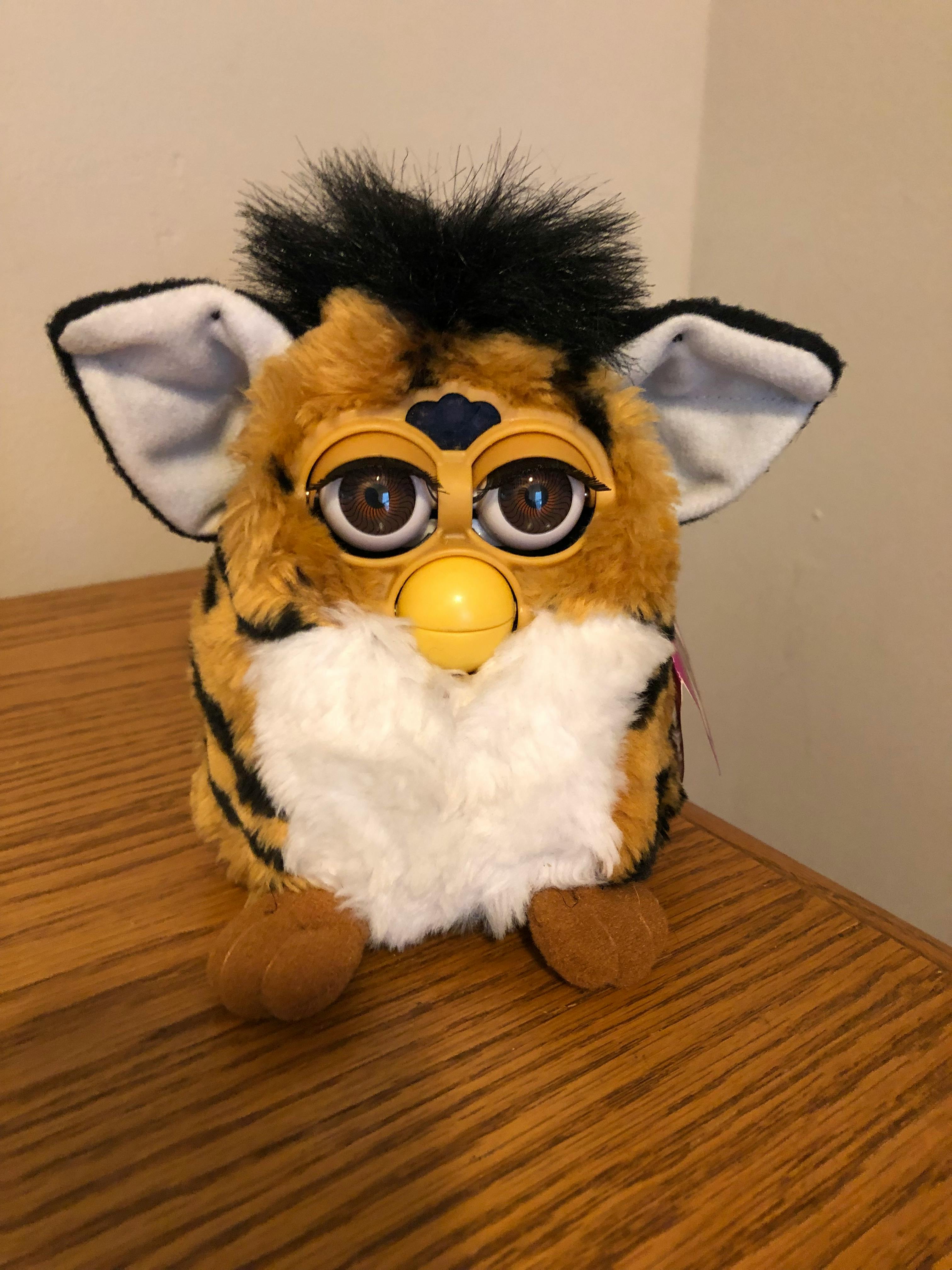 user avatar image for Anonymous Duck #1179703