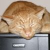 user avatar image for Tomek W.